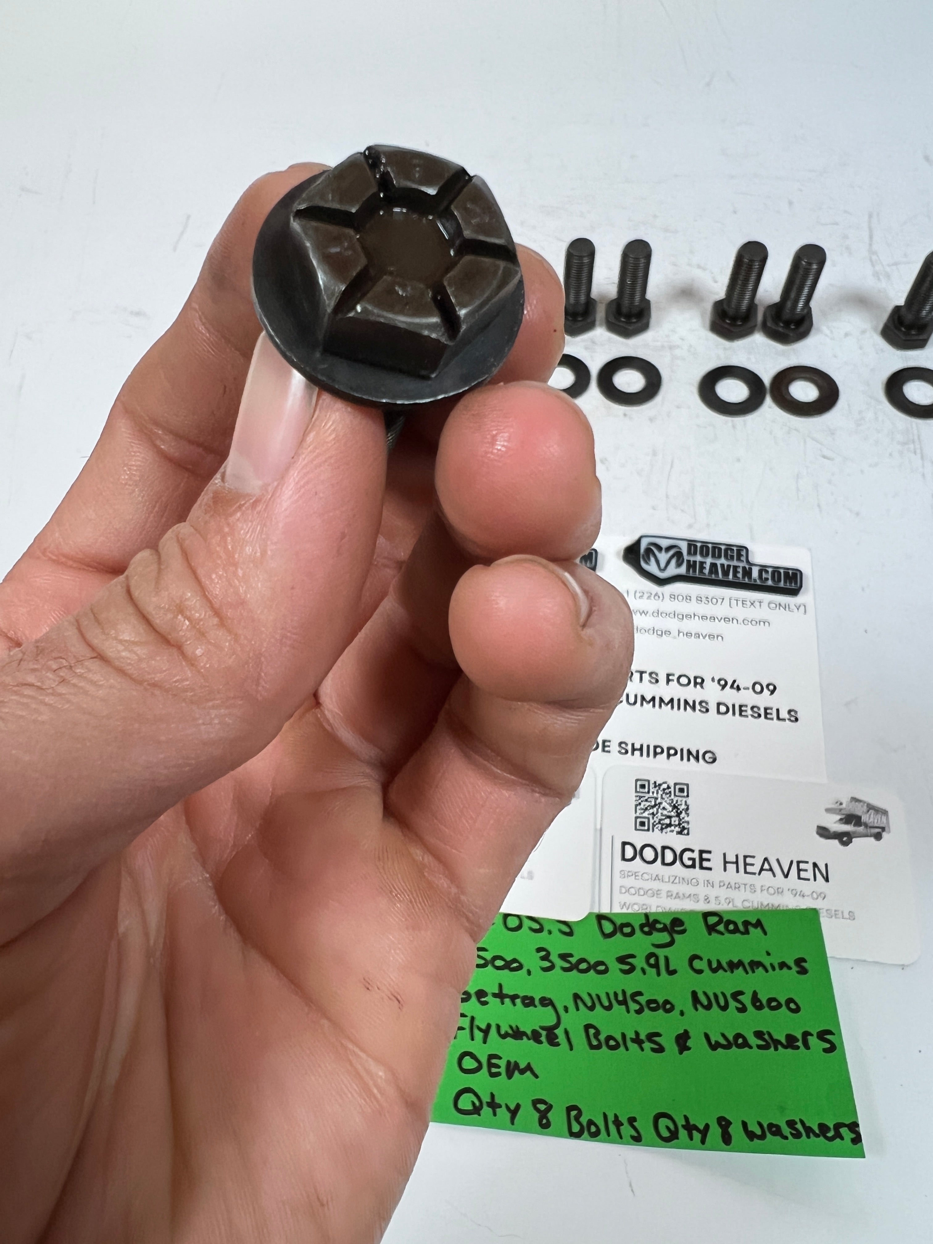 1989-2005.5 Dodge Ram Cummins NV4500 NV5600 Flywheel Bolts & Washers QTY 8