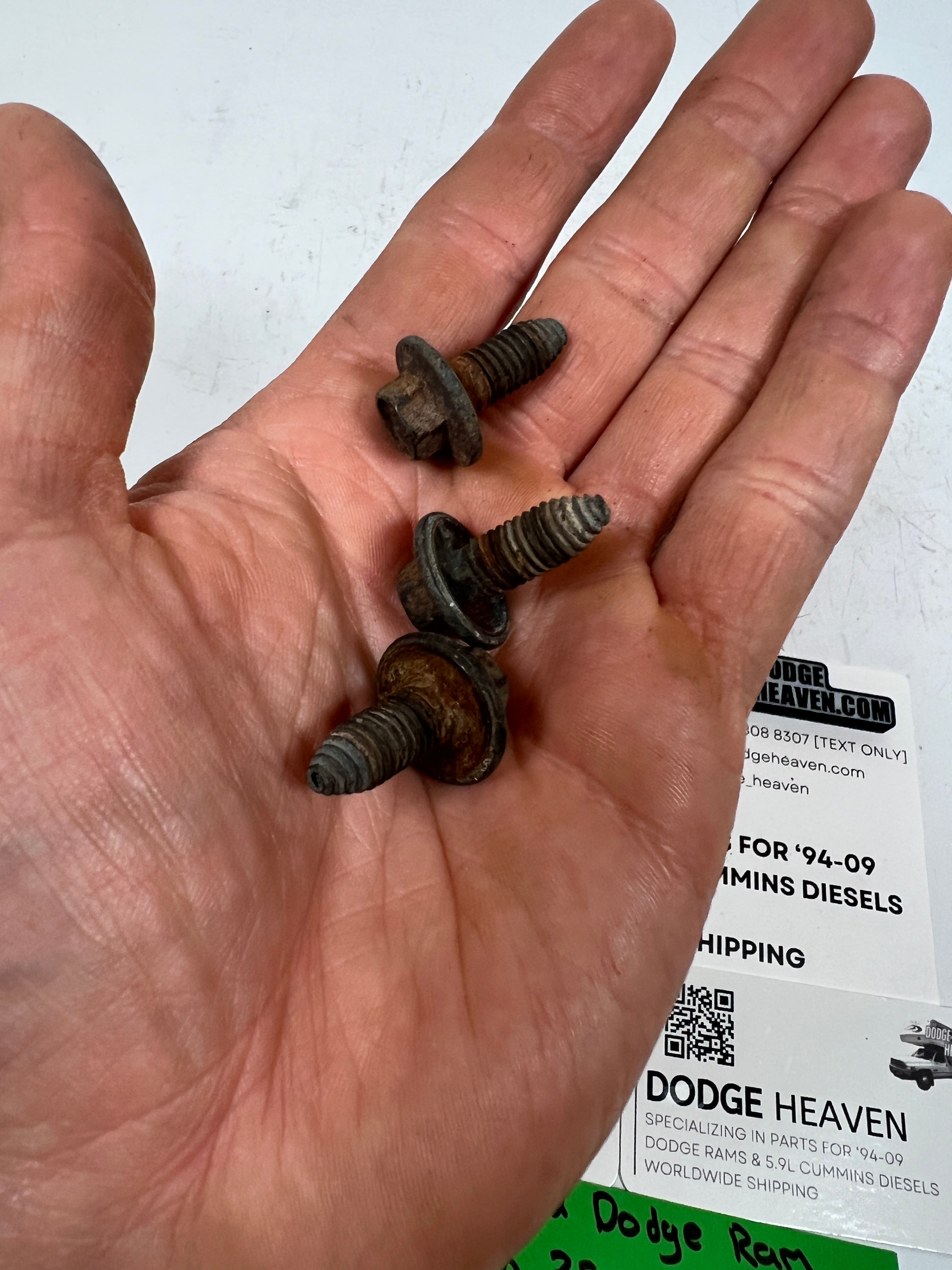 1994-2002 Dodge Ram 12V 24V 5.9L Cummins Intercooler Mounting Bracket Bolts