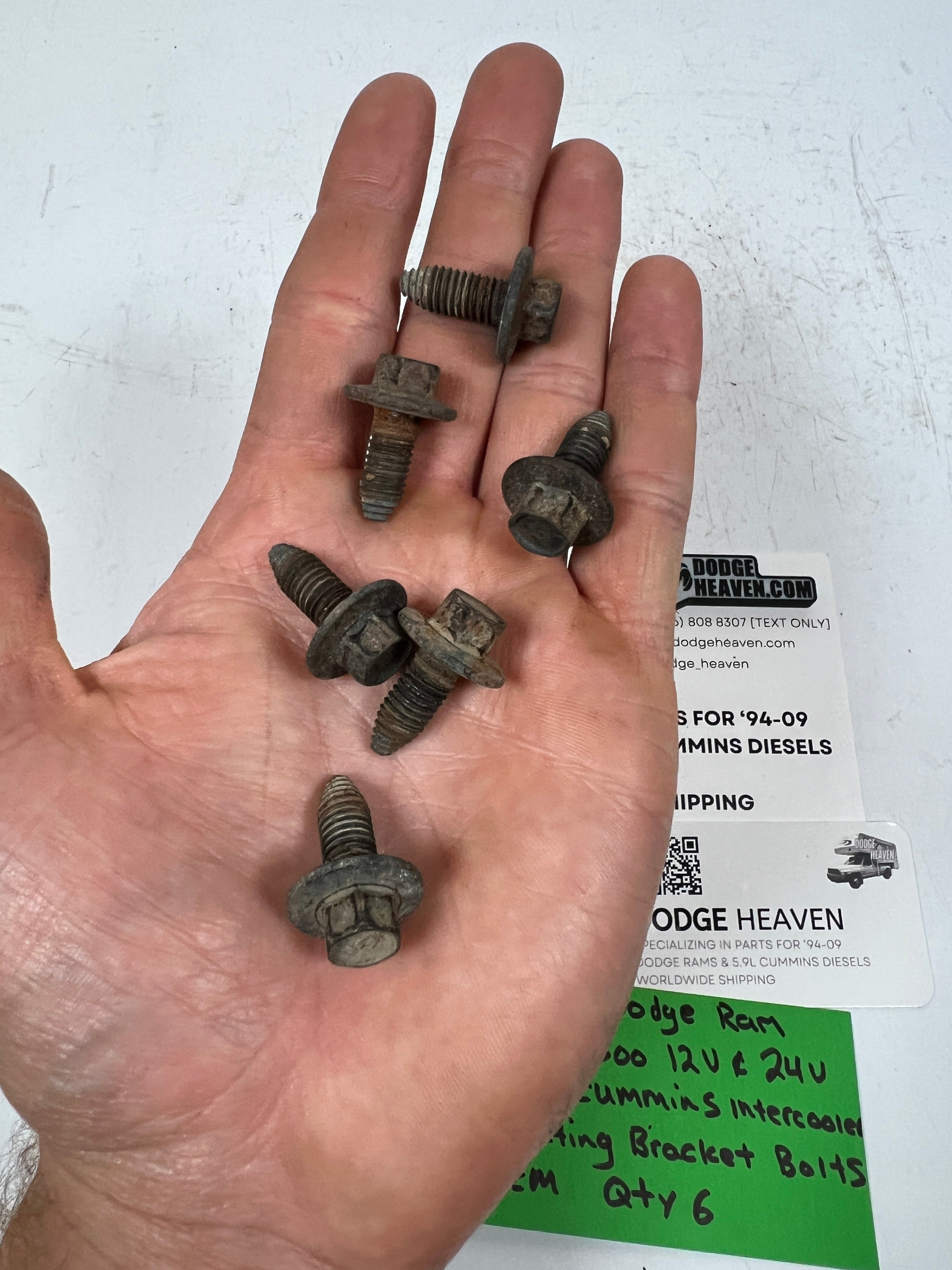 1994-2002 Dodge Ram 12V 24V 5.9L Cummins Intercooler Mounting Bracket Bolts
