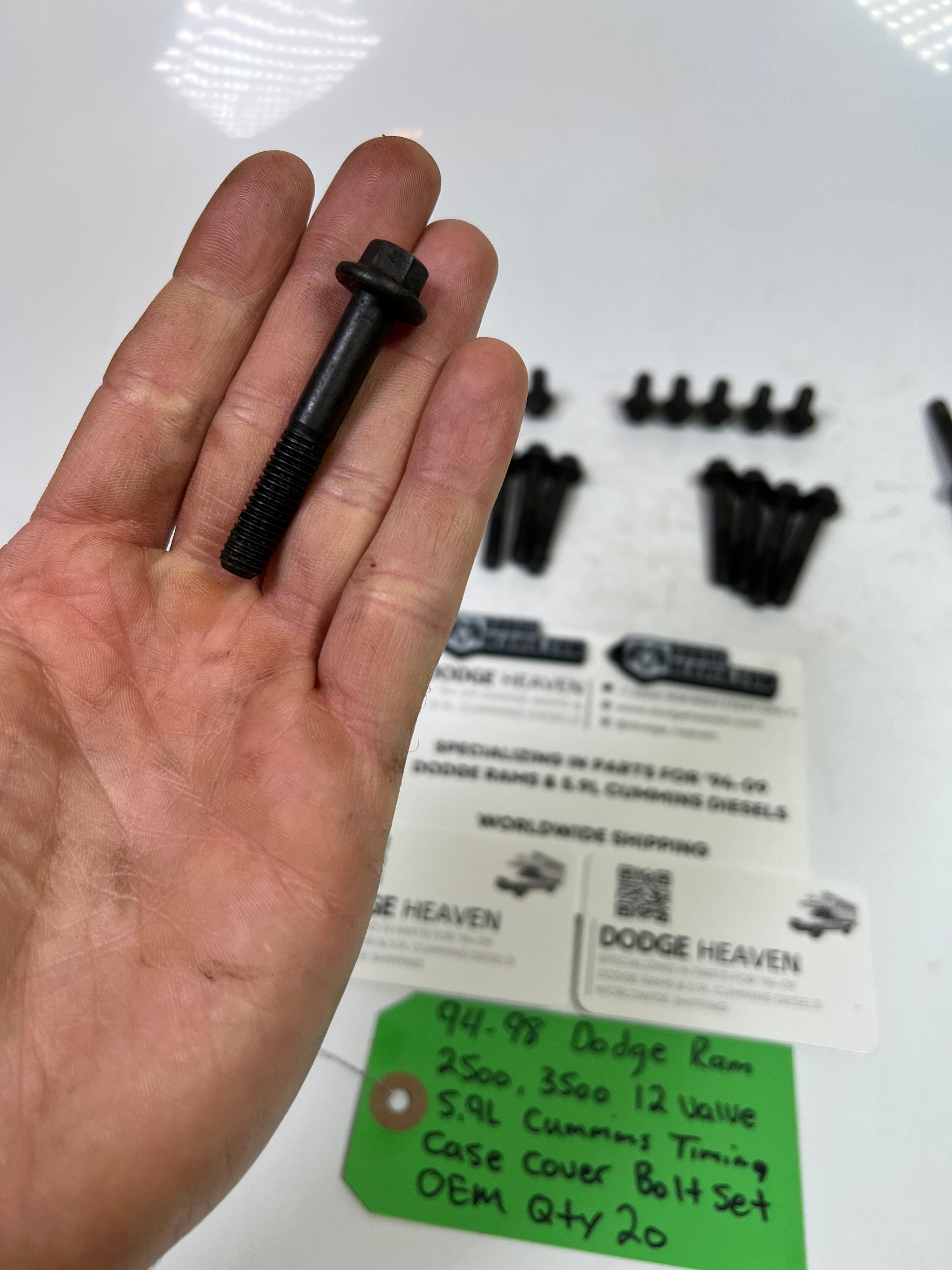 1994-1998 Dodge Ram 12 Valve 5.9L Cummins Timing Cover Bolt Set QTY 21