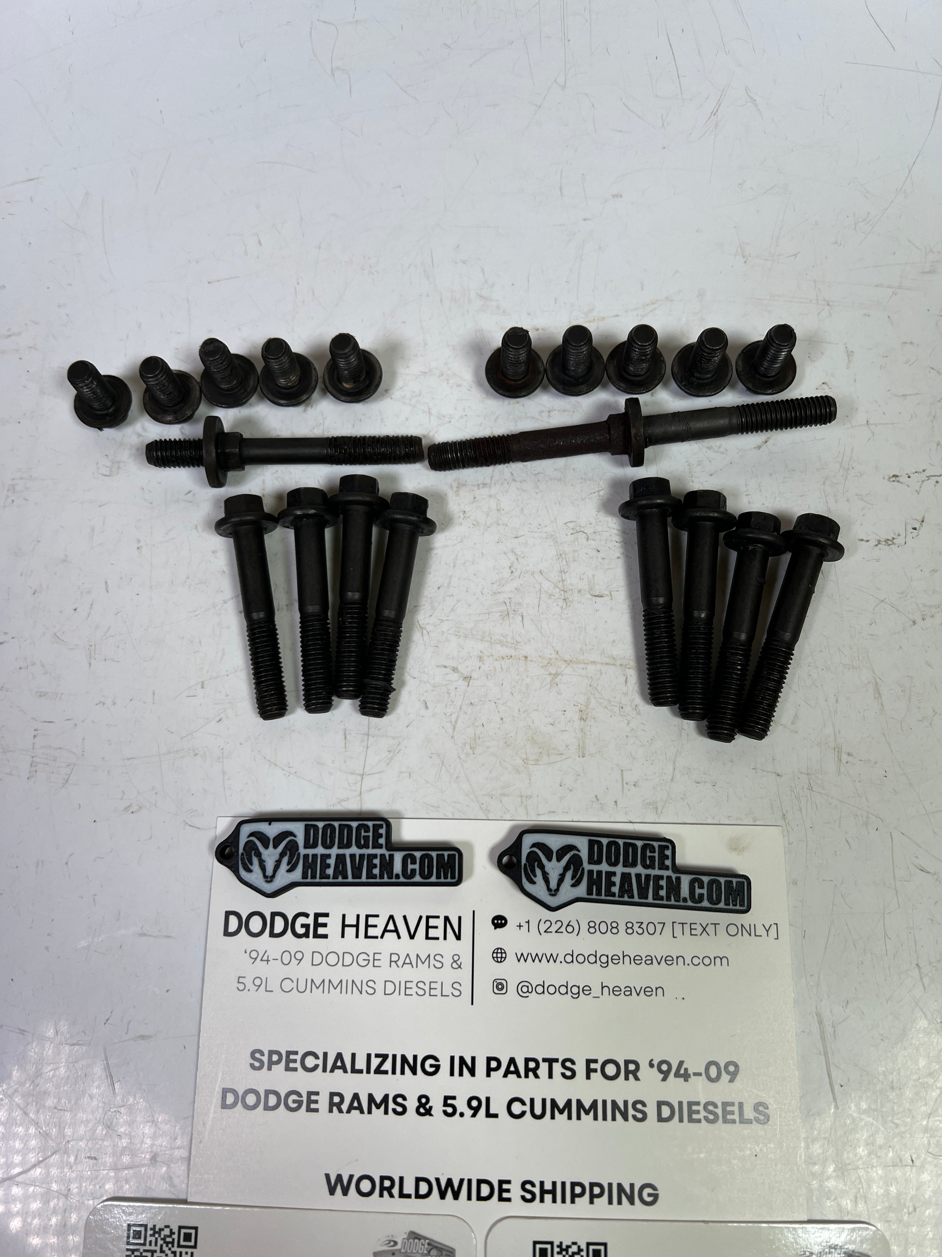 1994-1998 Dodge Ram 12 Valve 5.9L Cummins Timing Cover Bolt Set QTY 21