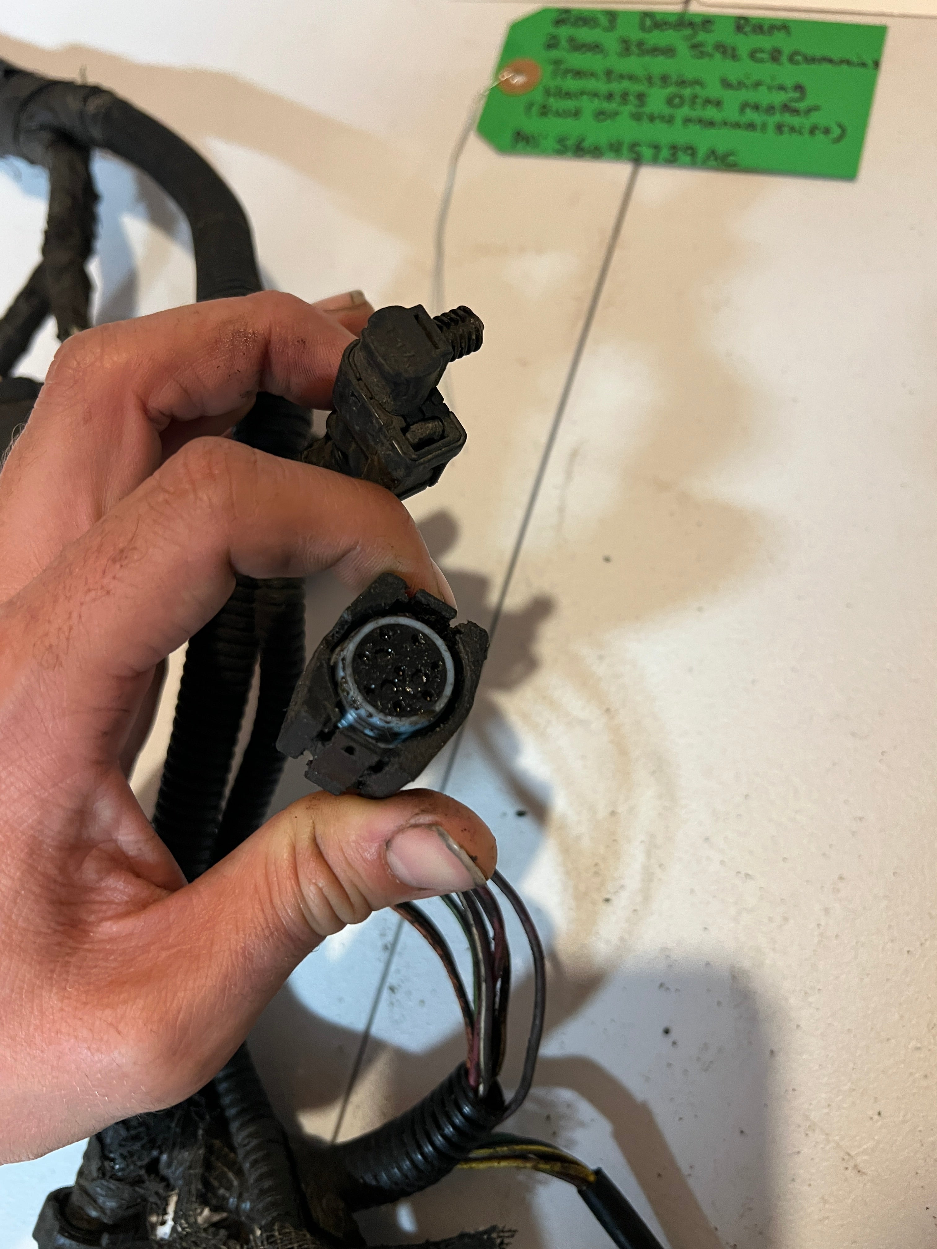 2003-2003 Dodge Ram 2500 3500 5.9L Cummins Transmission Wiring Harness
