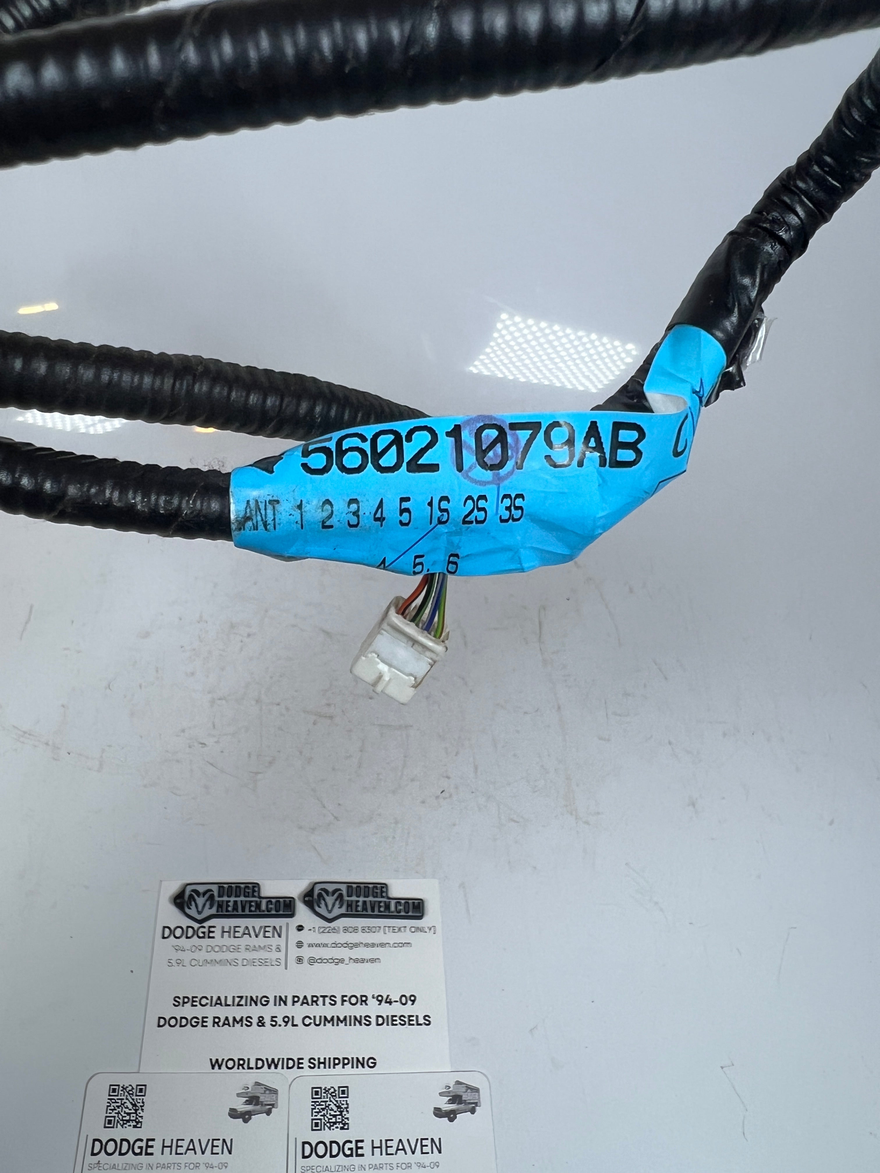 1998-1998 Dodge Ram 1500 2500 3500 Driver Side Seat Belt Wiring Harness