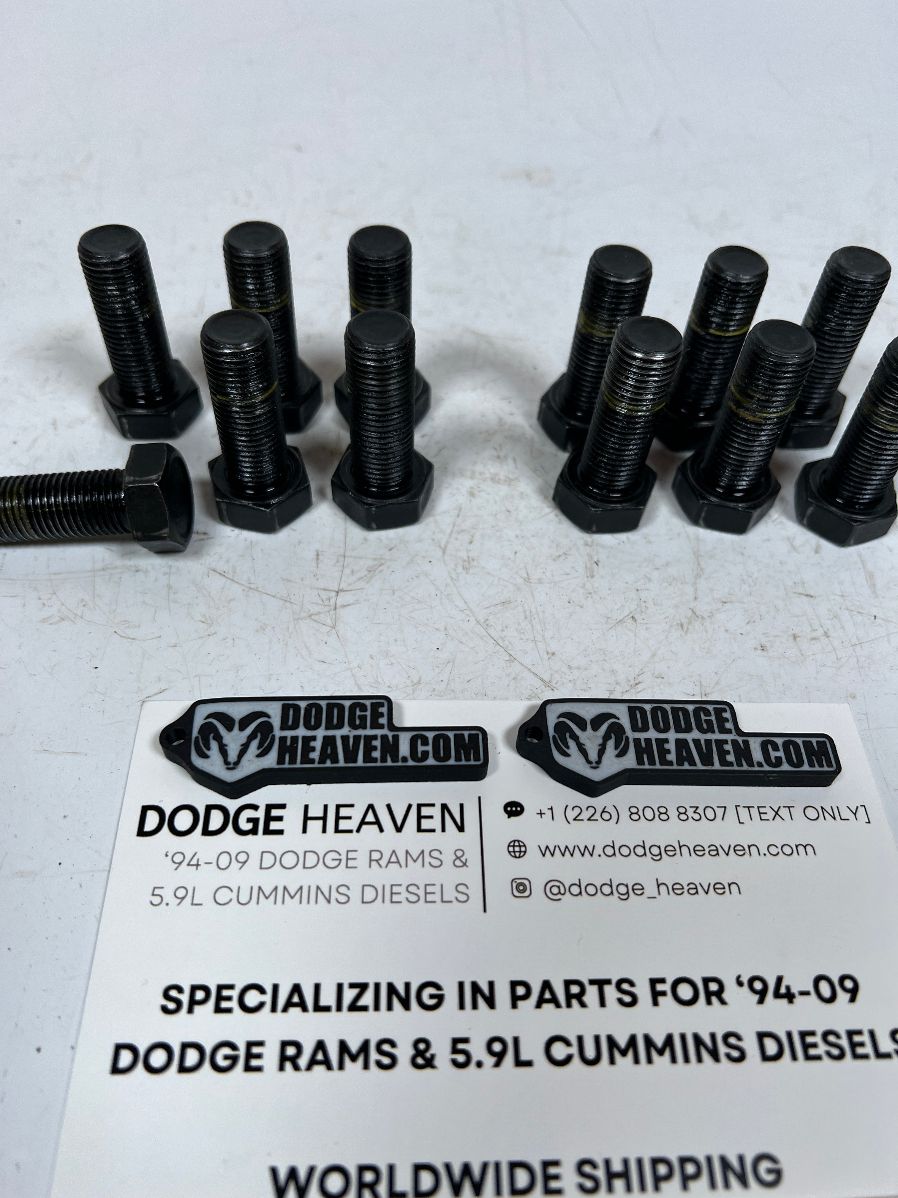 2003-2018 Dodge Ram 2500 3500 AAM 11.5 Rear Differential Ring Gear Bolts 12 QTY