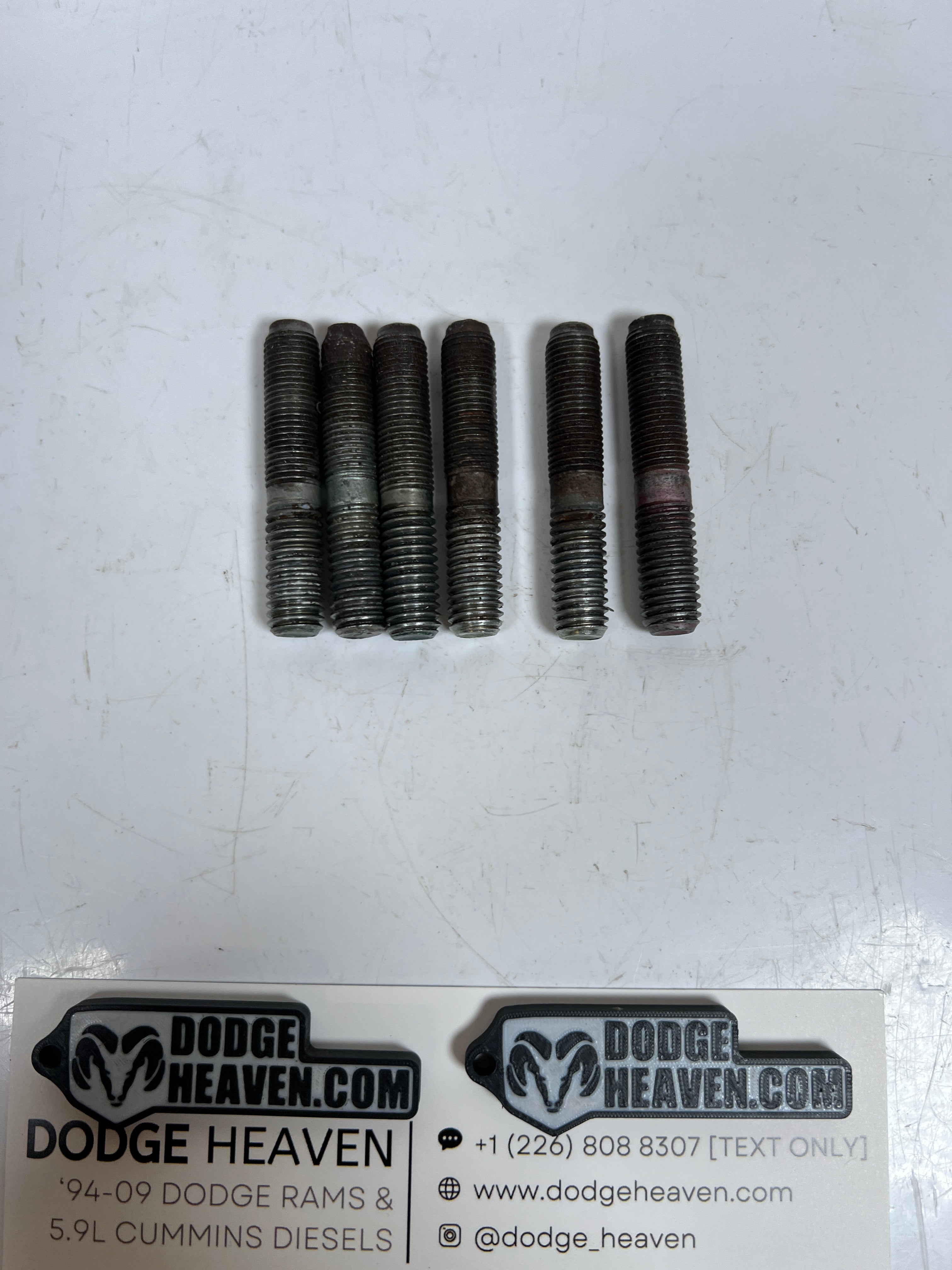 1994-2002 Dodge Ram 241DLD 241DHD Transfer Case Mounting Studs QTY 6