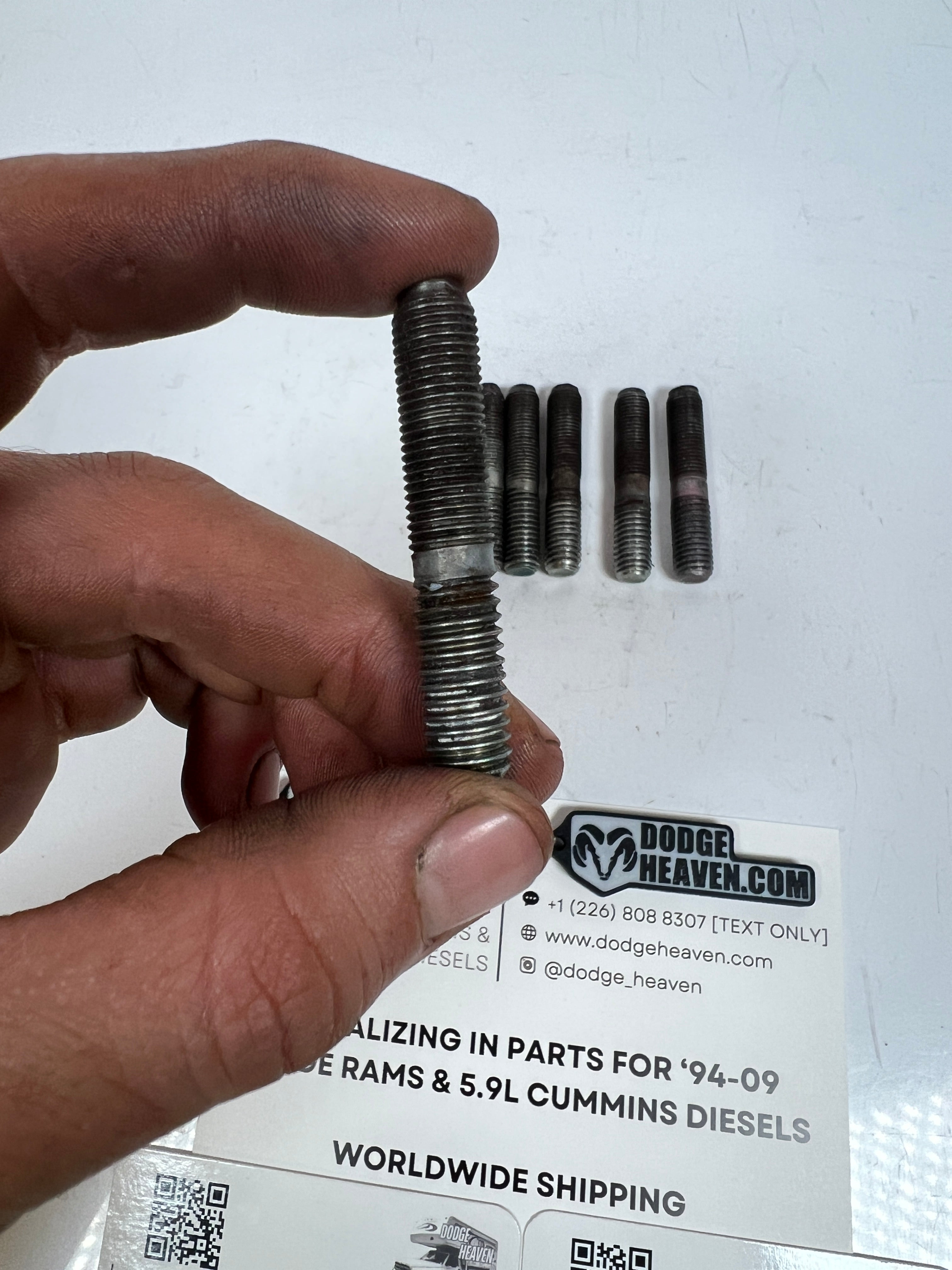 1994-2002 Dodge Ram 241DLD 241DHD Transfer Case Mounting Studs QTY 6