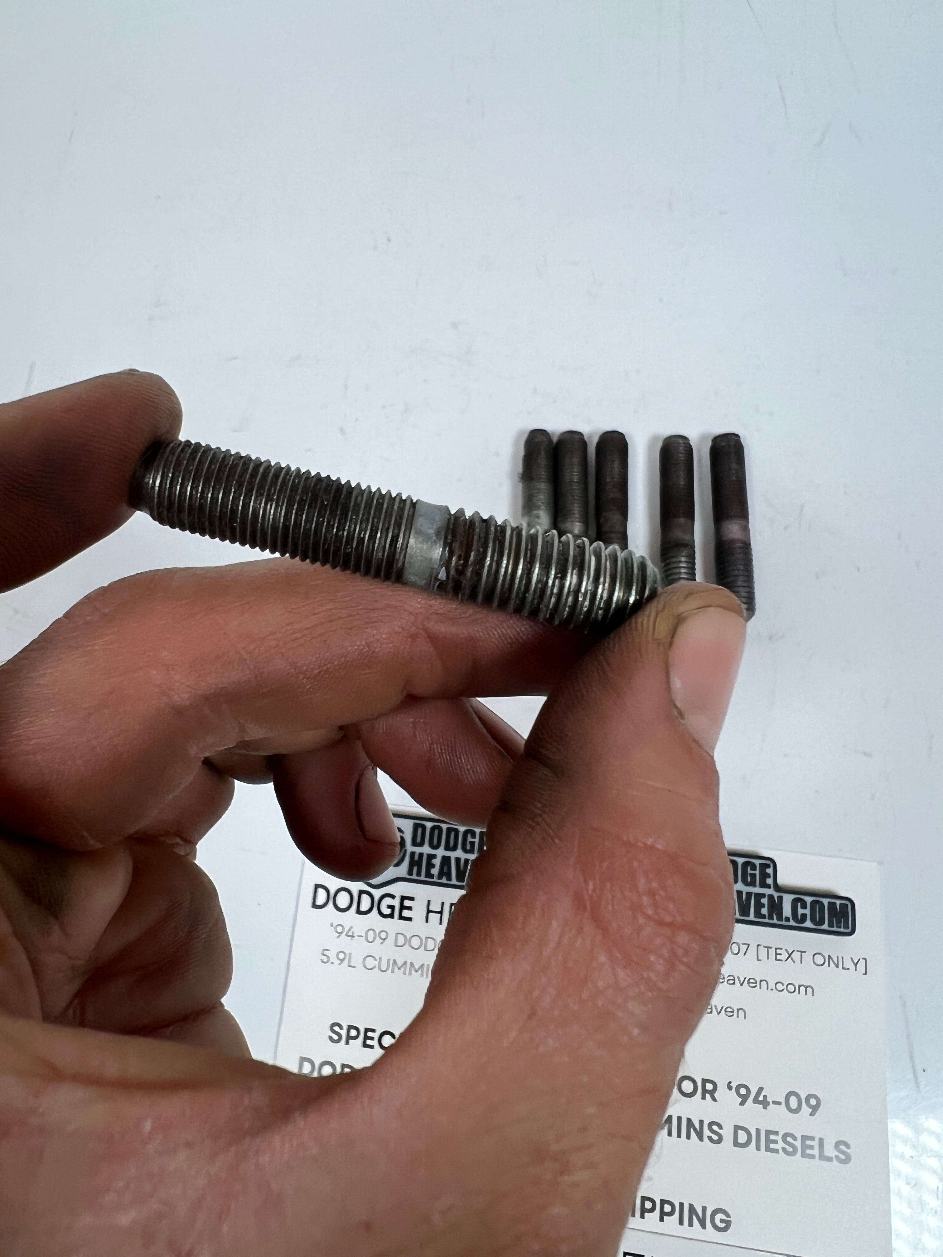 1994-2002 Dodge Ram 241DLD 241DHD Transfer Case Mounting Studs QTY 6