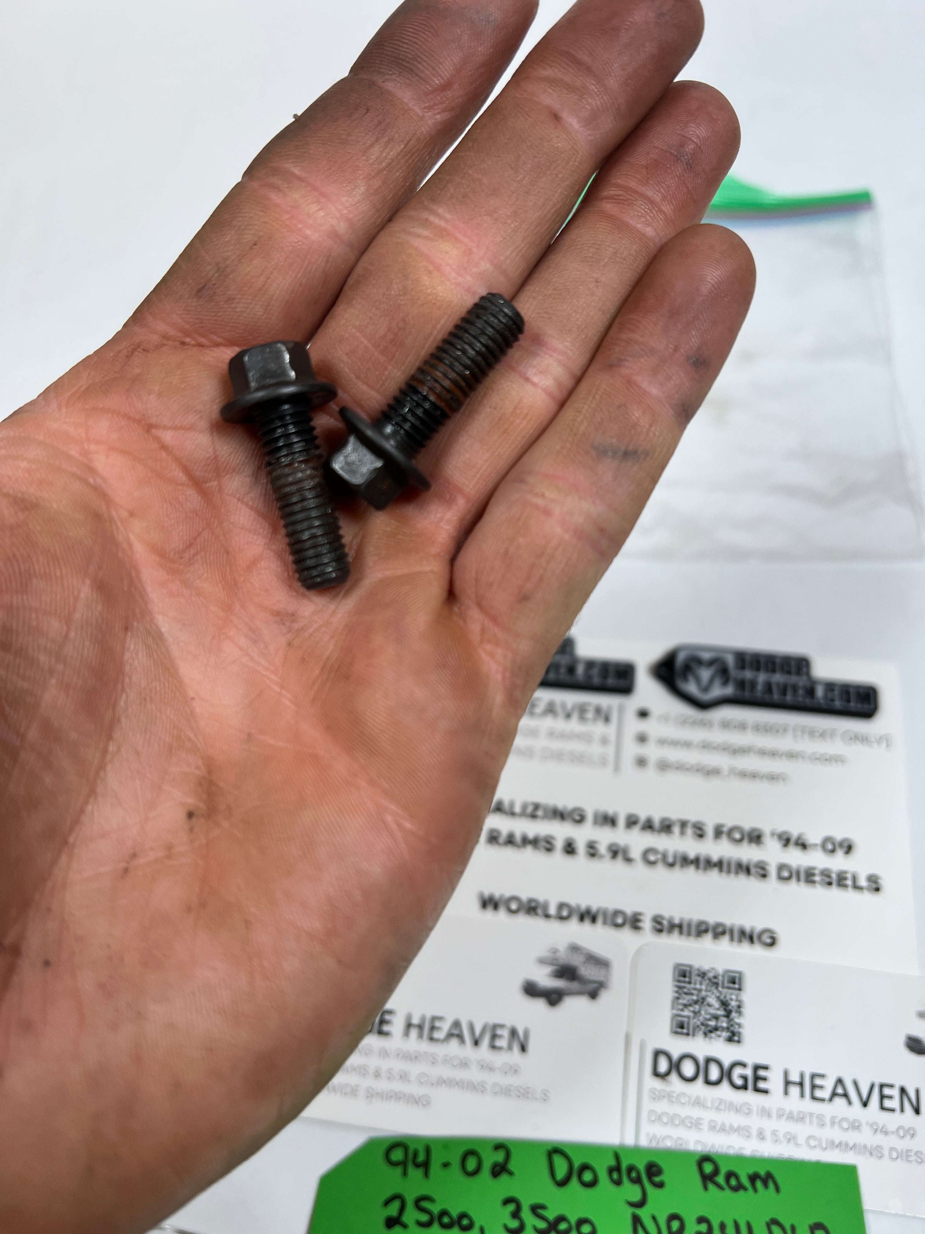 1994-2002 Dodge Ram 241DLD DHD Transfer Case Input Shaft Bearing Retainer Bolts