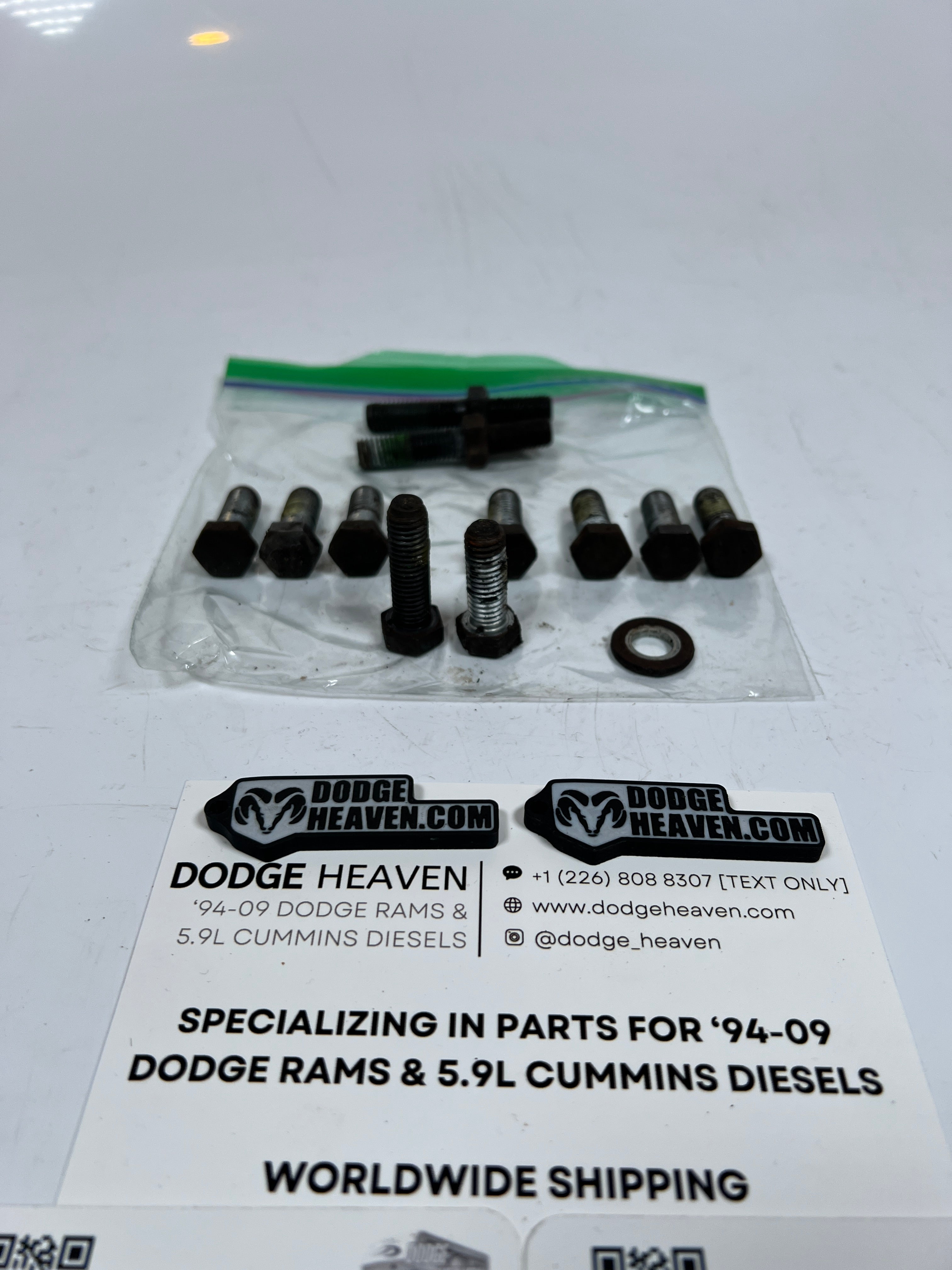 1994-2002 Dodge Ram 241DLD 241DHD Transfer Case Main Case Bolt Kit 11 QTY