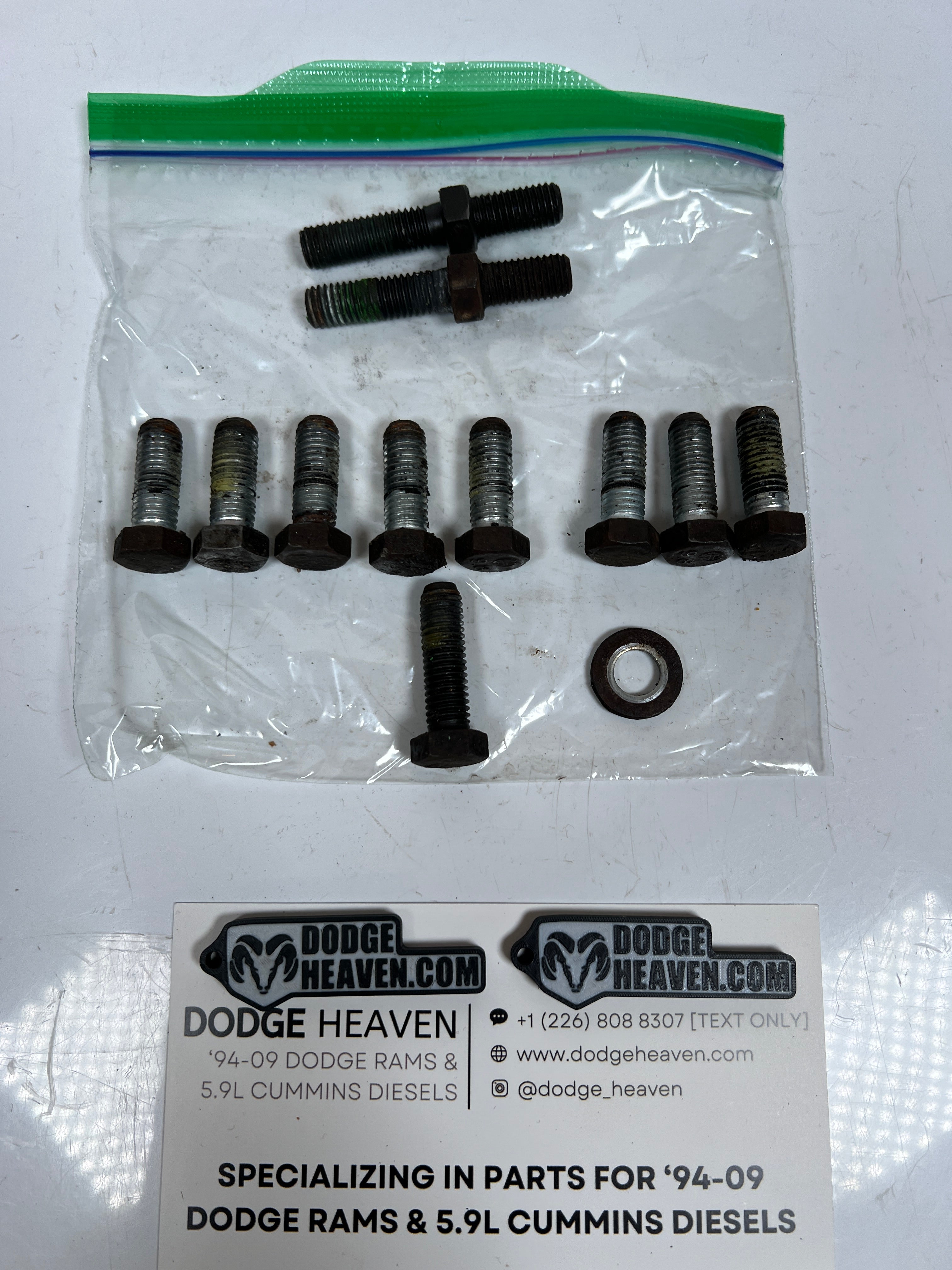 1994-2002 Dodge Ram 241DLD 241DHD Transfer Case Main Case Bolt Kit 11 QTY