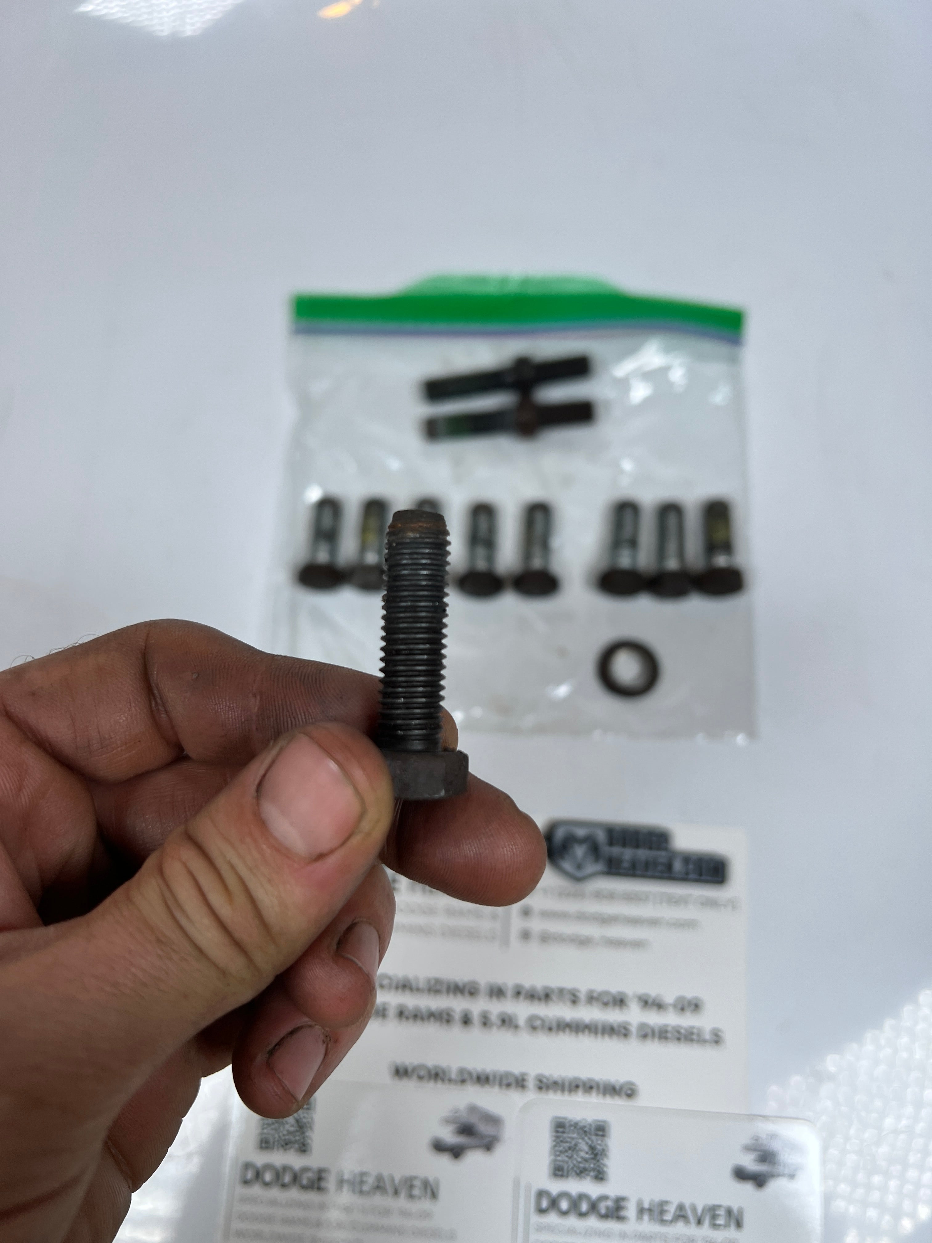 1994-2002 Dodge Ram 241DLD 241DHD Transfer Case Main Case Bolt Kit 11 QTY