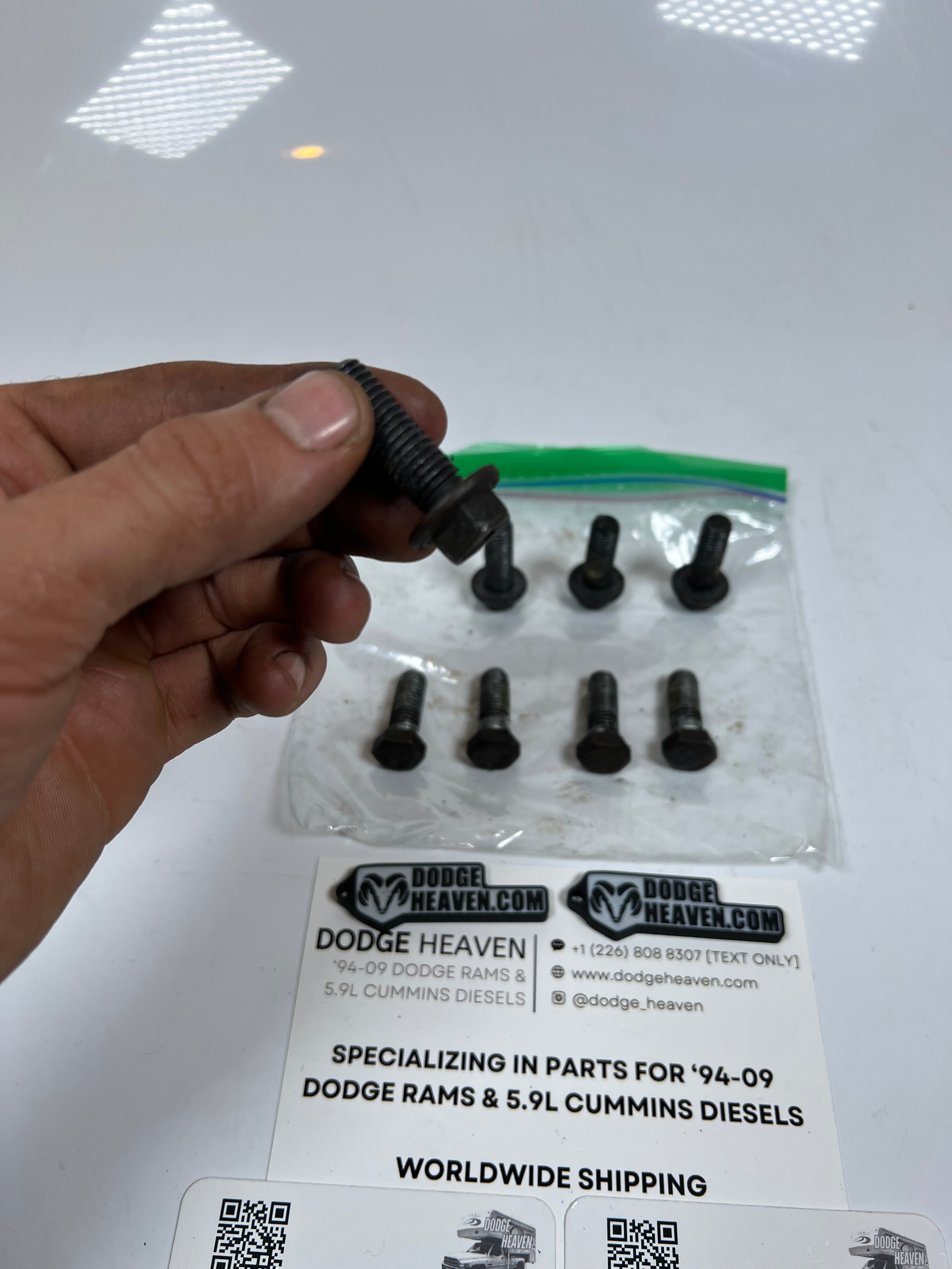 1994-2002 Dodge Ram 241DLD Transfer Case Rear 2-Piece Tail Housing Bolts QTY 8