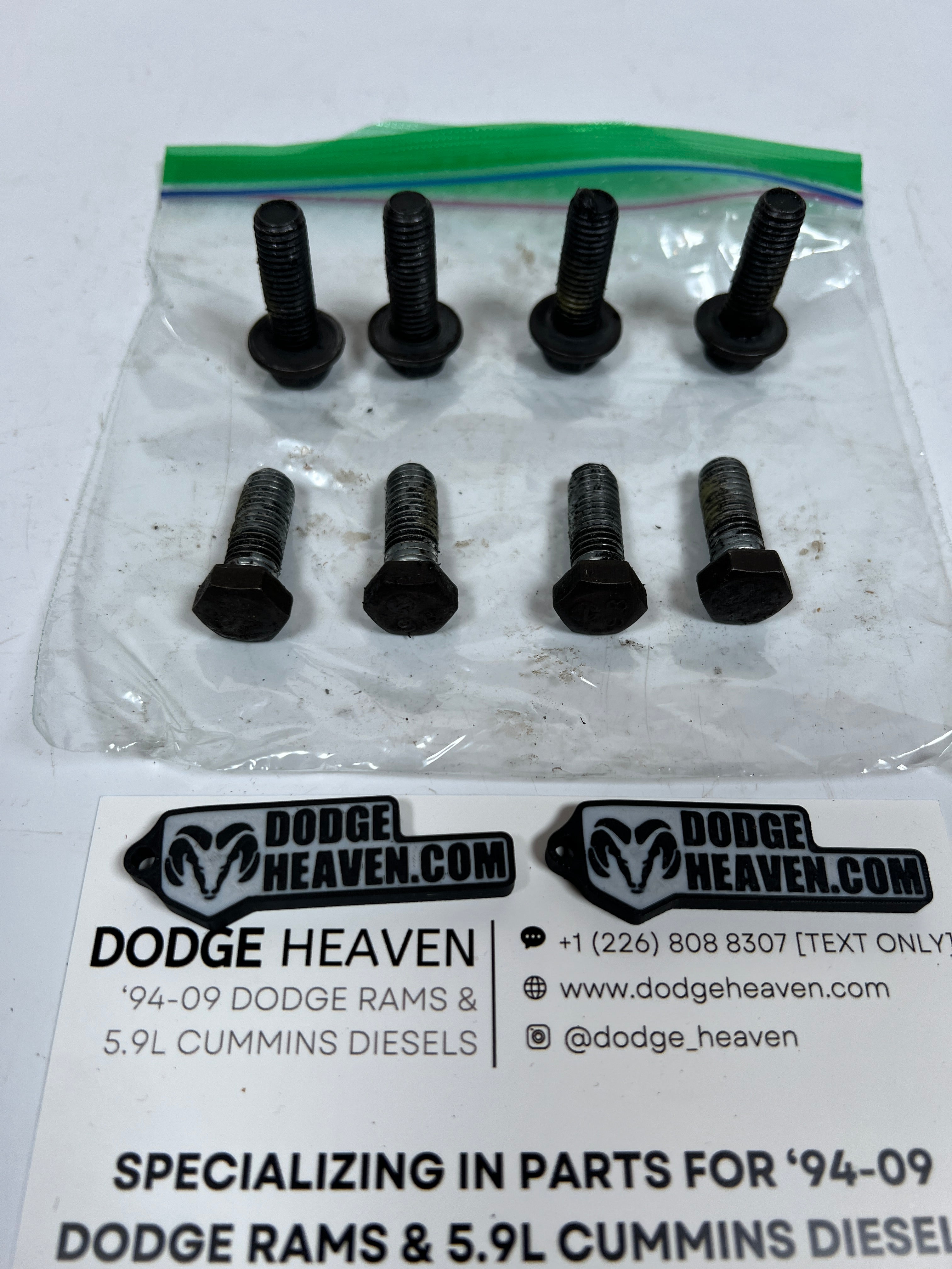1994-2002 Dodge Ram 241DLD Transfer Case Rear 2-Piece Tail Housing Bolts QTY 8