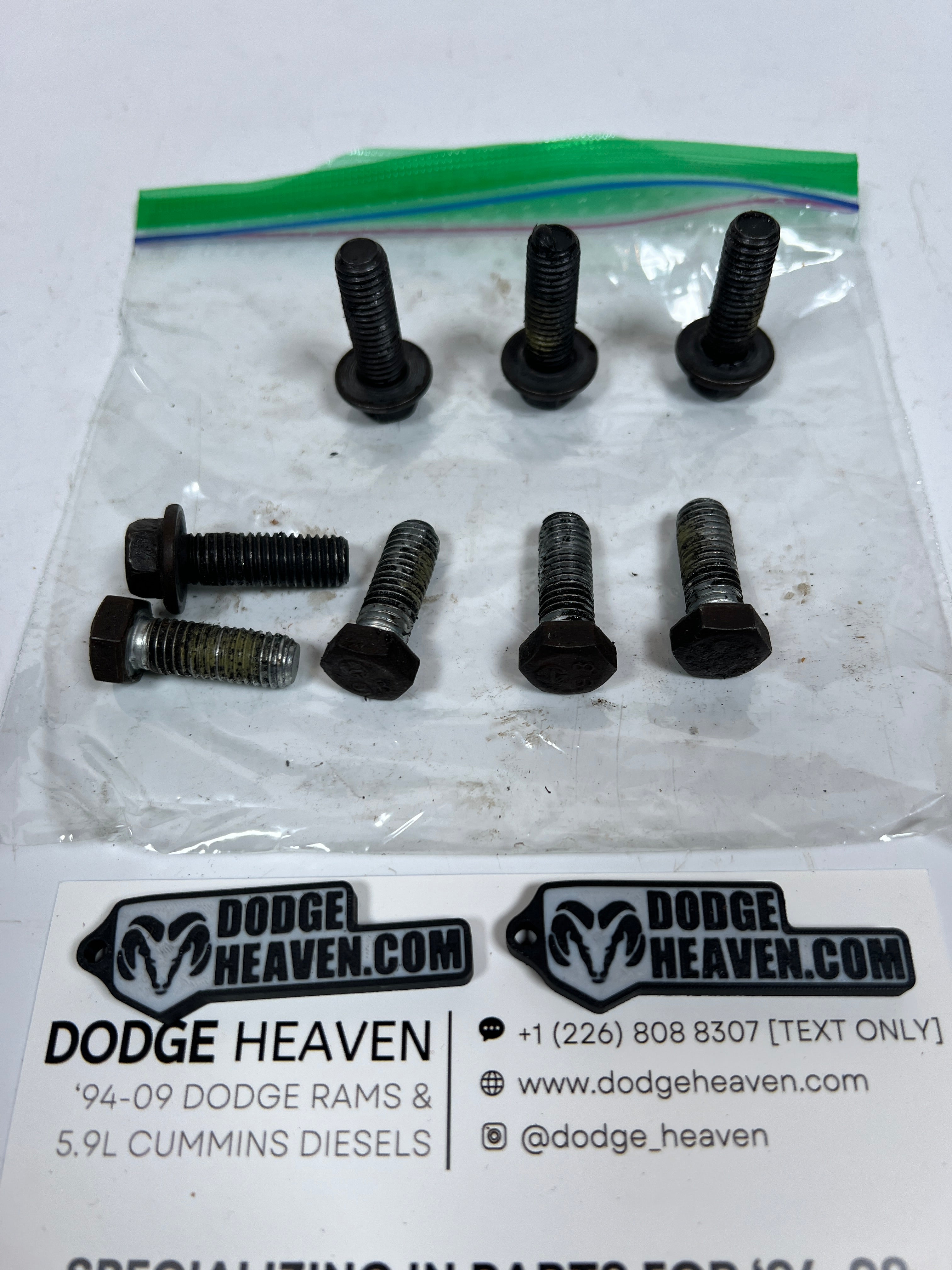 1994-2002 Dodge Ram 241DLD Transfer Case Rear 2-Piece Tail Housing Bolts QTY 8