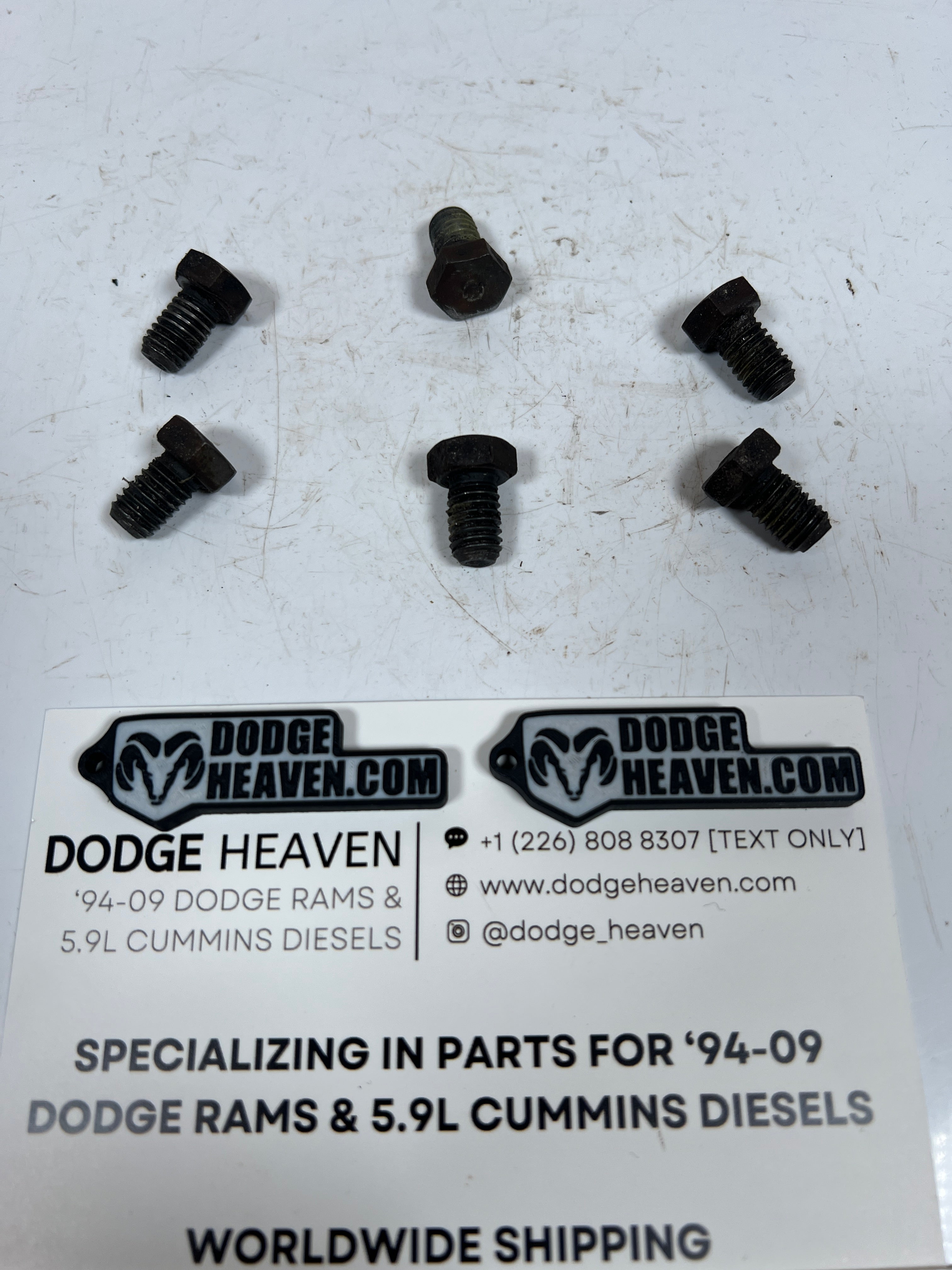1994-2002 Dodge Ram 241DLD 241DHD Transfer Case PTO Cover Plate Bolts QTY 6