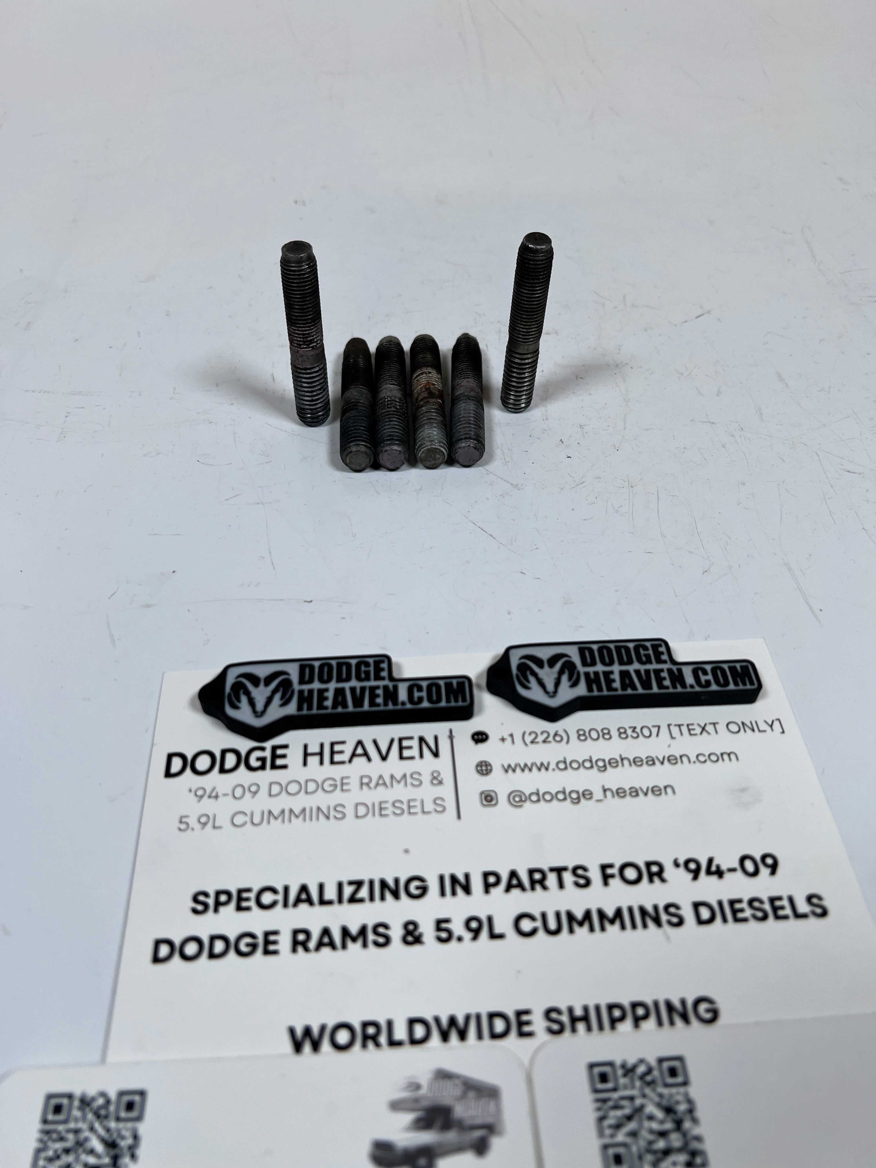 2003-2012 Dodge Ram 271D 273D Transfer Case to Transmission Mounting Studs QTY 6
