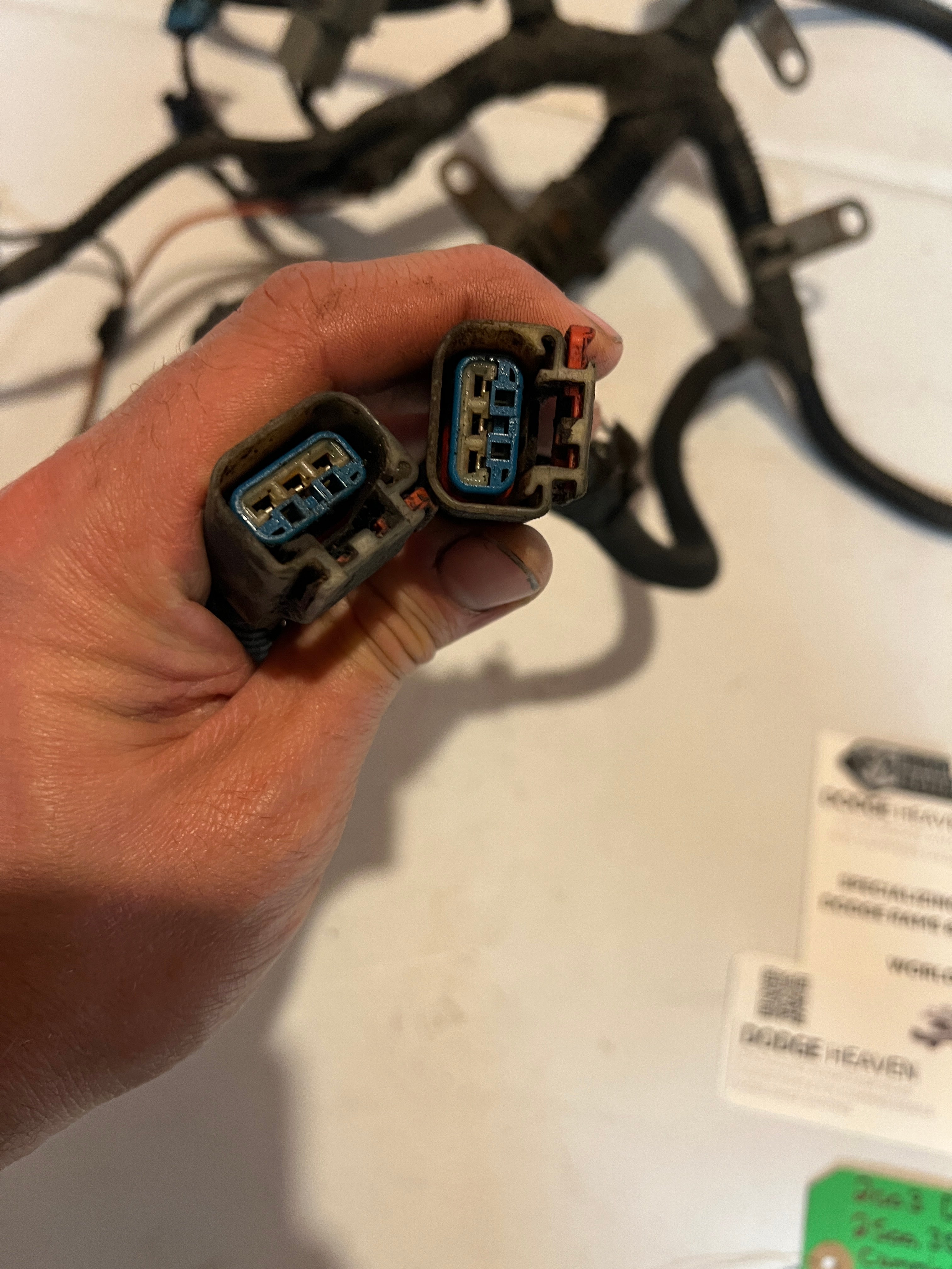 2003-2003 Dodge Ram 2500 3500 5.9L Cummins 6-SPD Engine Wiring Harness