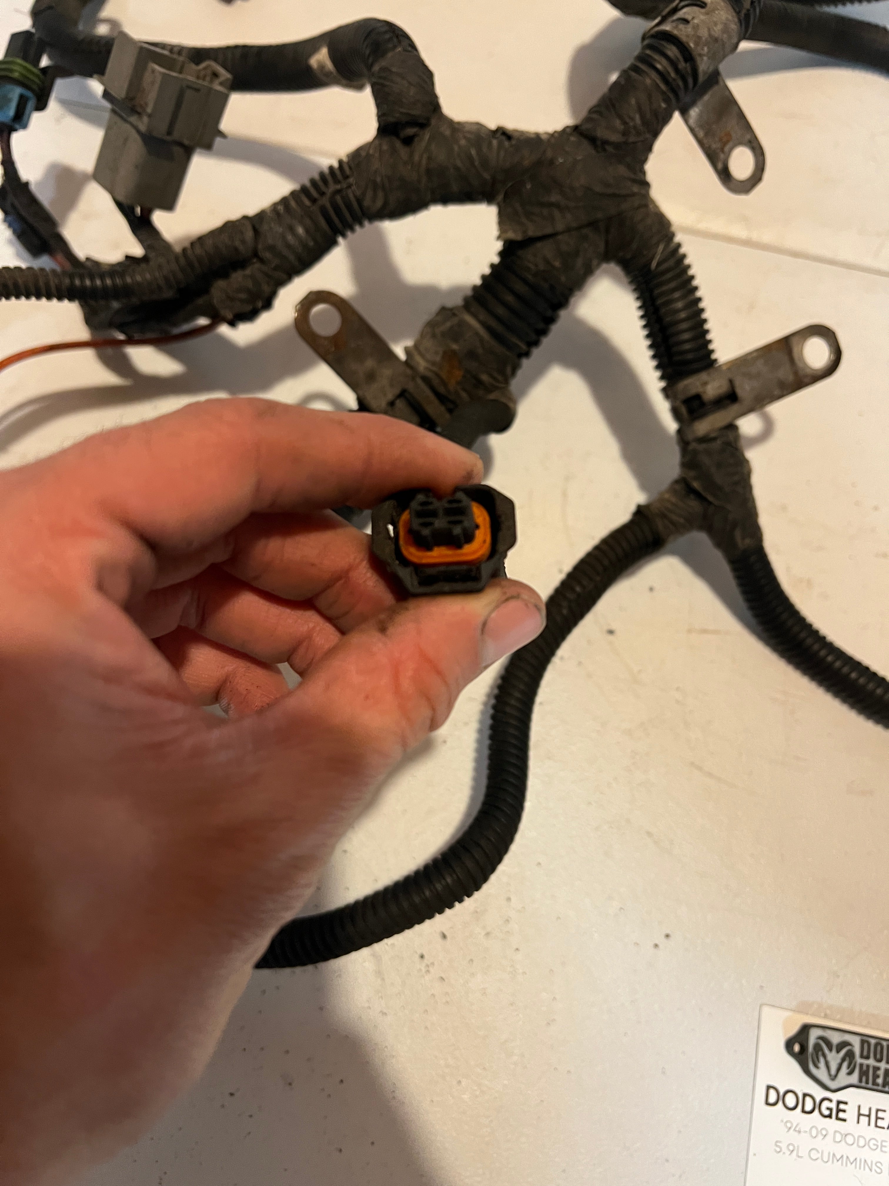 2003-2003 Dodge Ram 2500 3500 5.9L Cummins 6-SPD Engine Wiring Harness