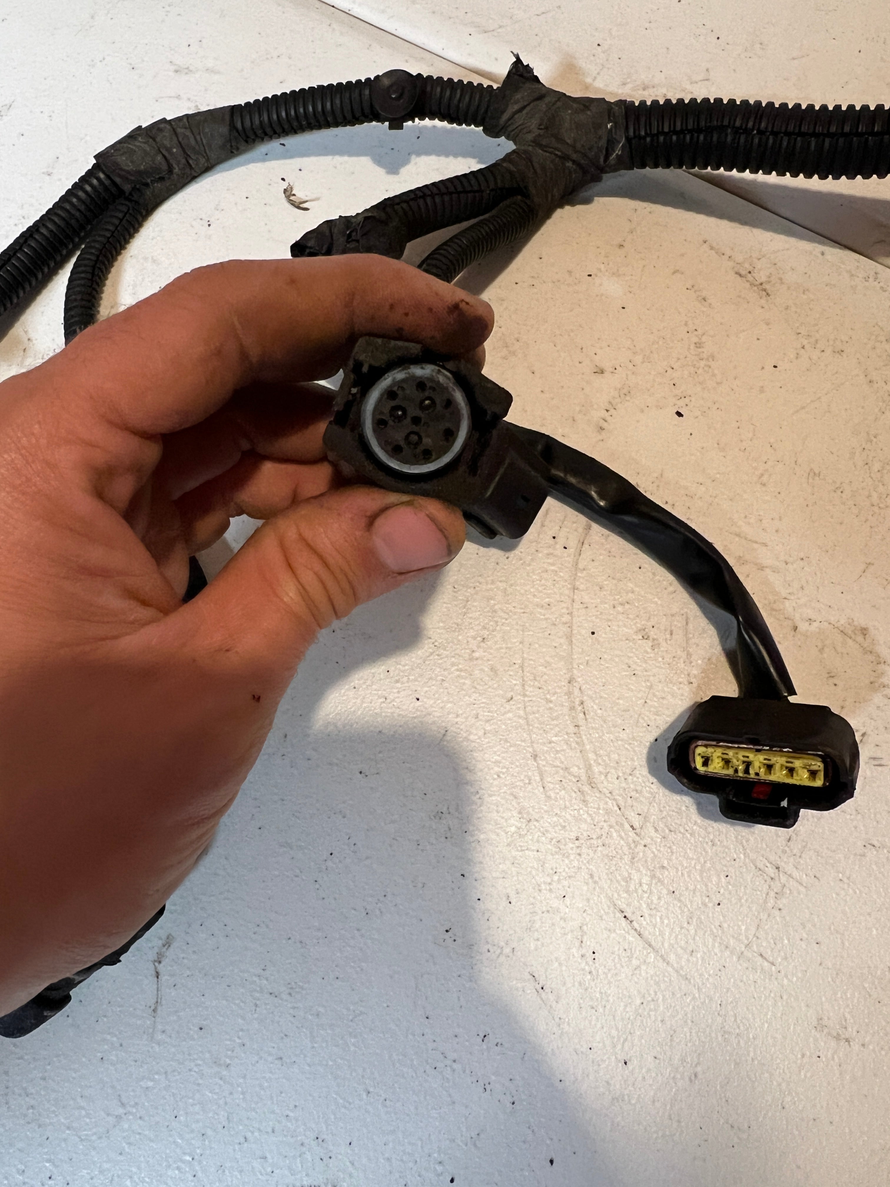 2005-2005 Dodge Ram 5.9L Cummins Automatic Transmission Wiring Harness