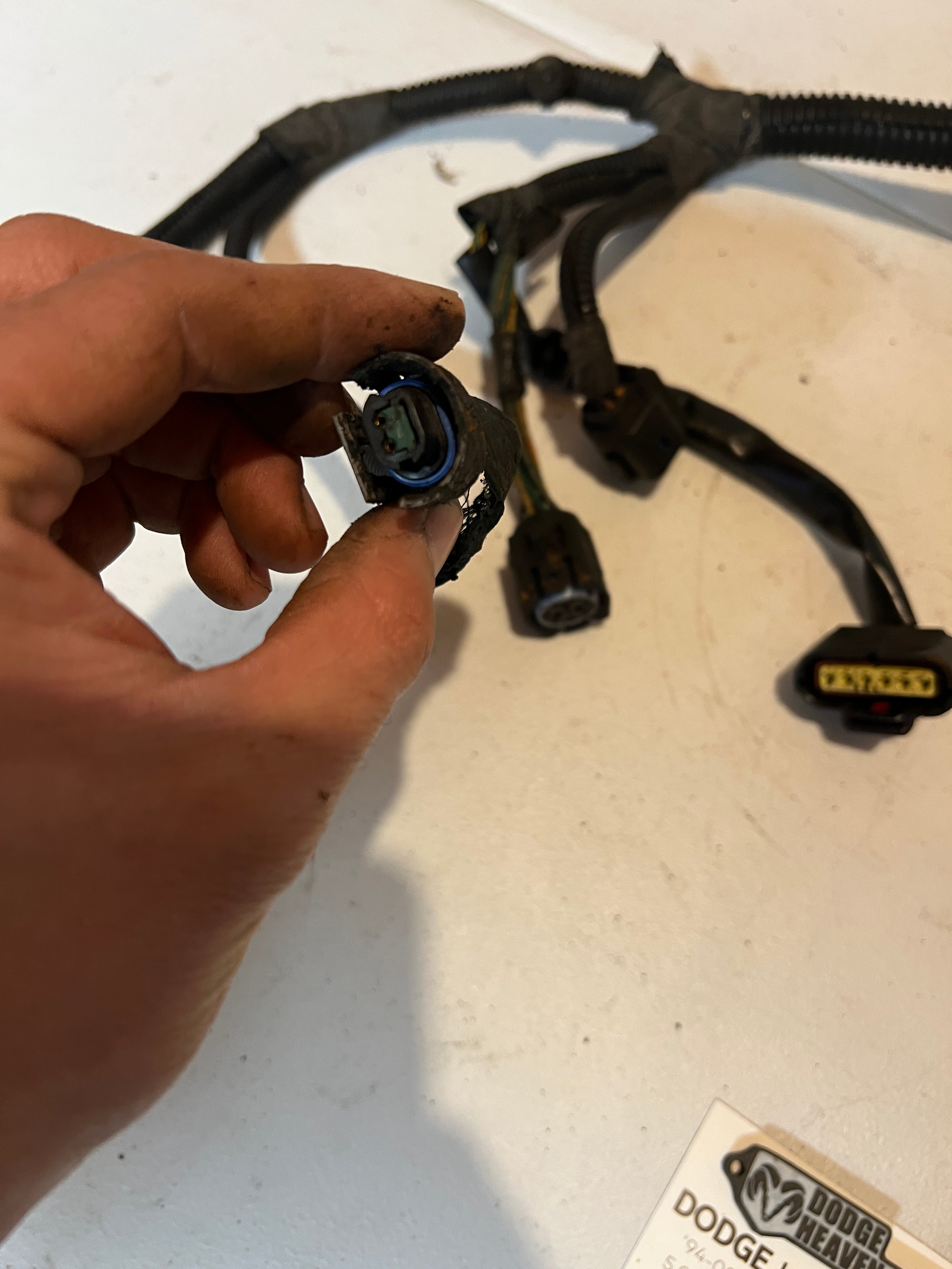 2005-2005 Dodge Ram 5.9L Cummins Automatic Transmission Wiring Harness