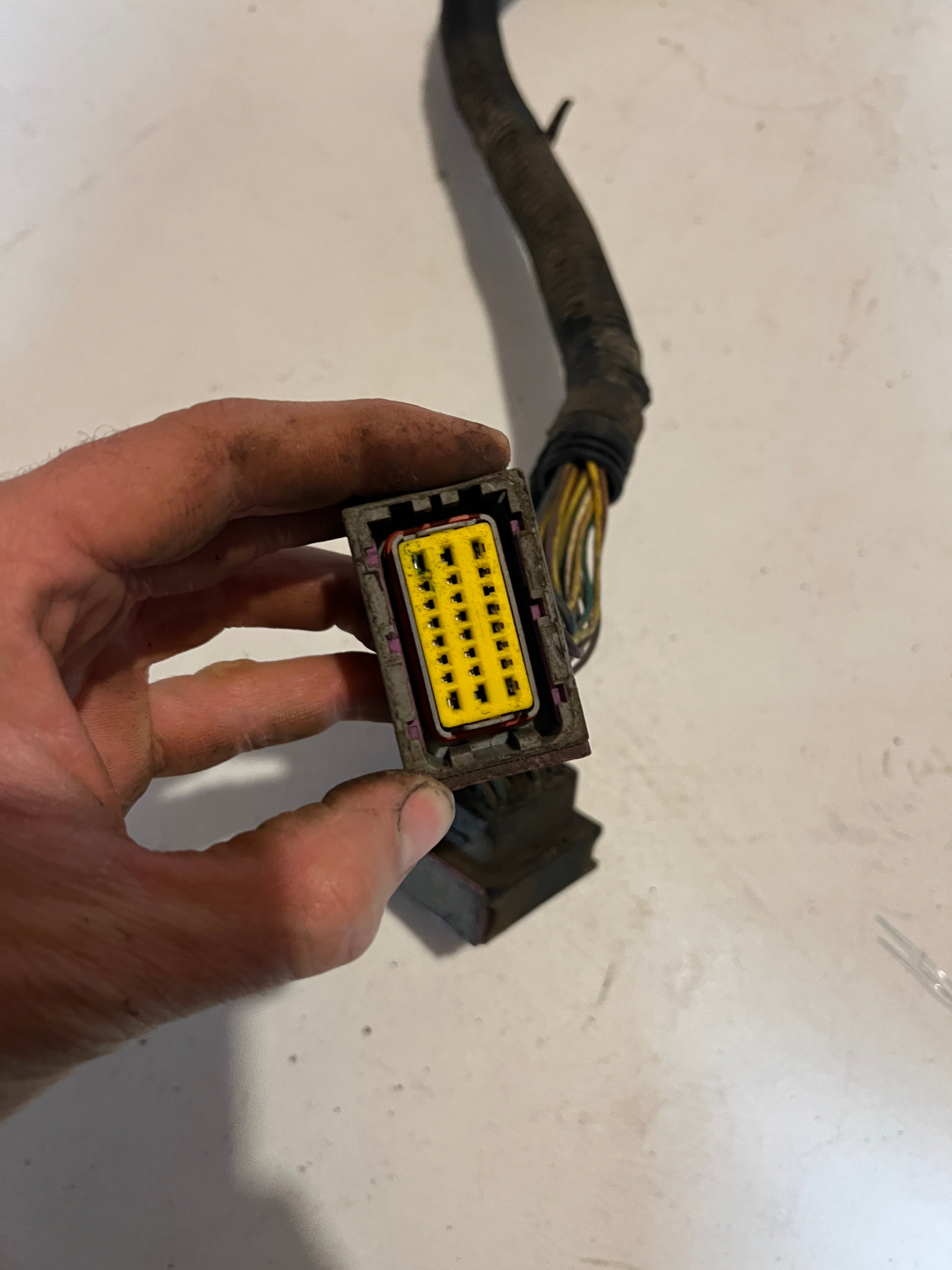 2004-2004 Dodge Ram 5.9L Cummins Automatic Transmission Wiring Harness