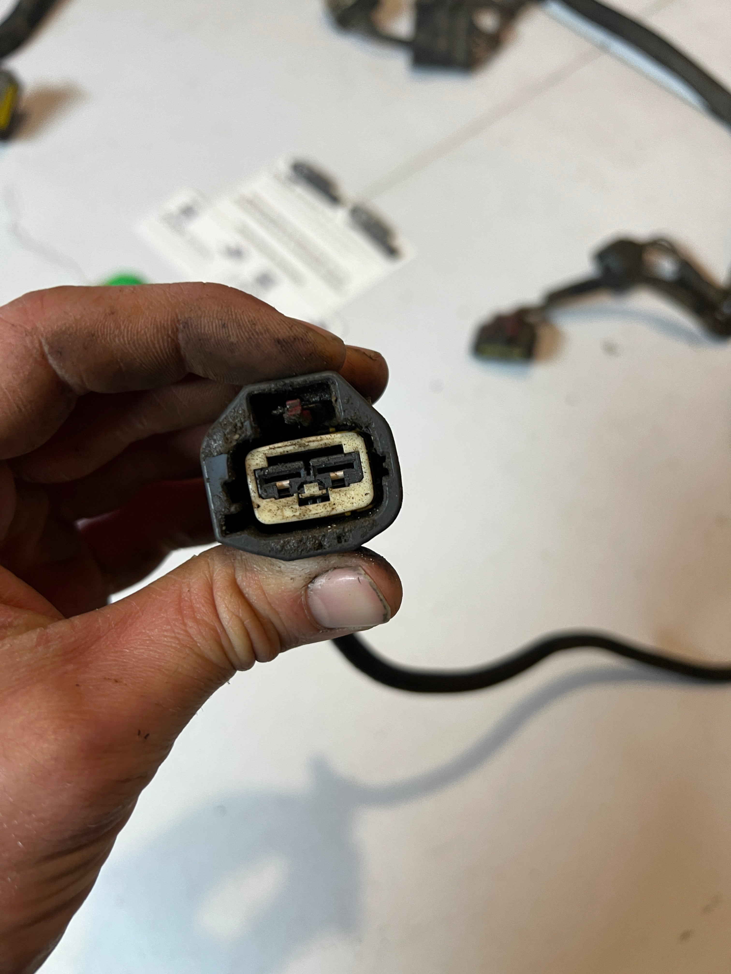 2004-2004 Dodge Ram 5.9L Cummins Automatic Transmission Wiring Harness