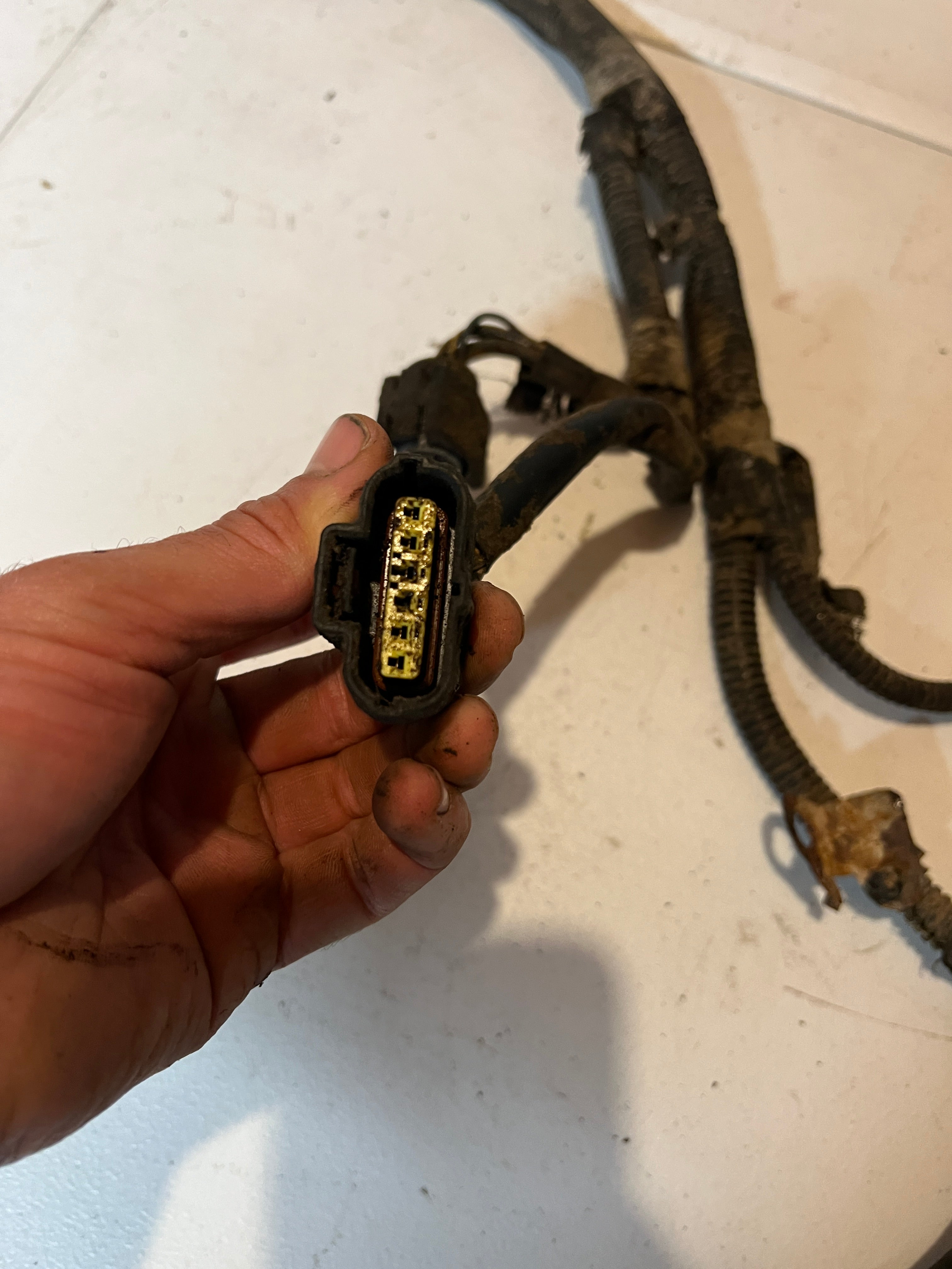2004-2004 Dodge Ram 5.9L Cummins Automatic Transmission Wiring Harness