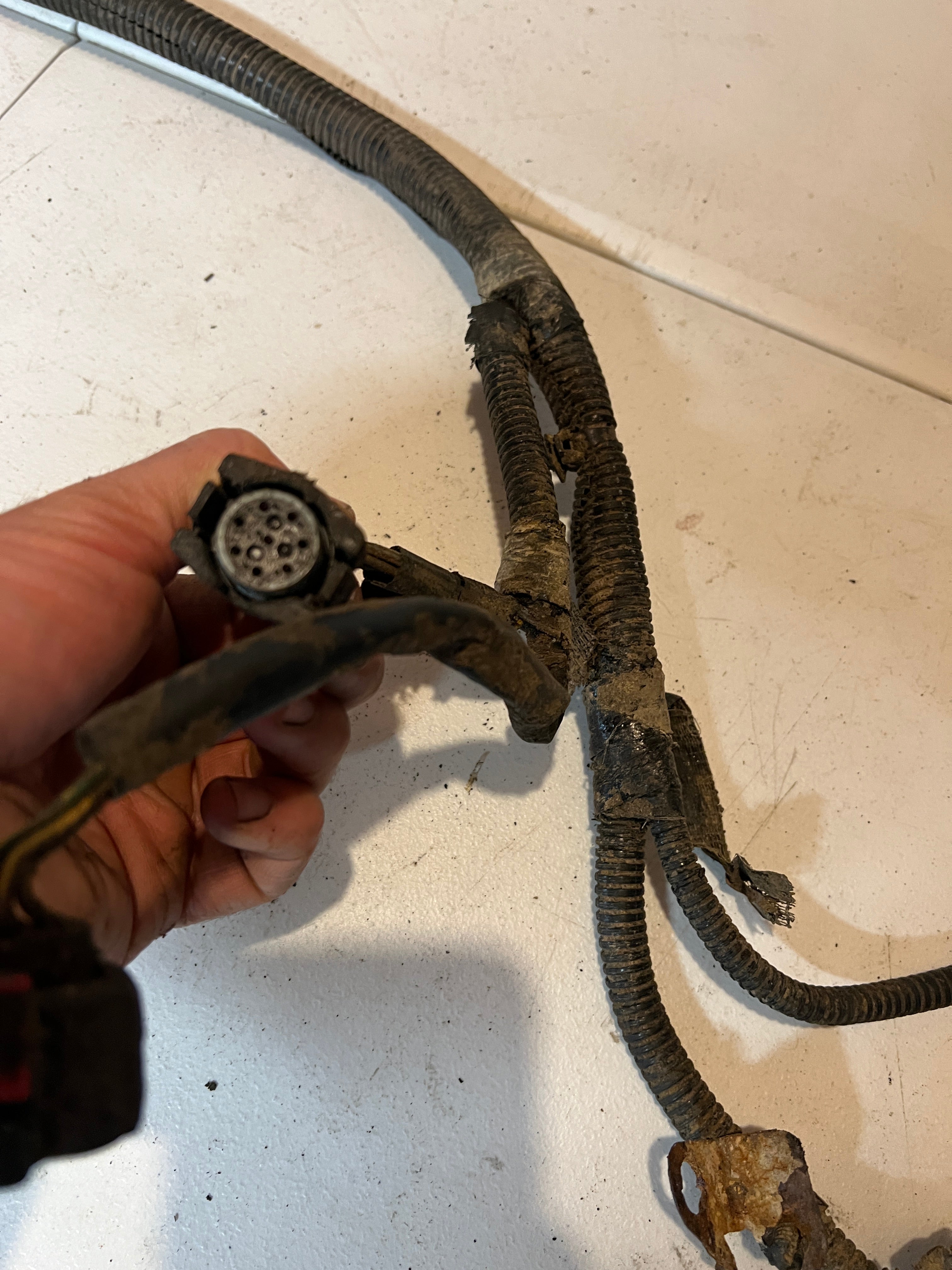 2004-2004 Dodge Ram 5.9L Cummins Automatic Transmission Wiring Harness