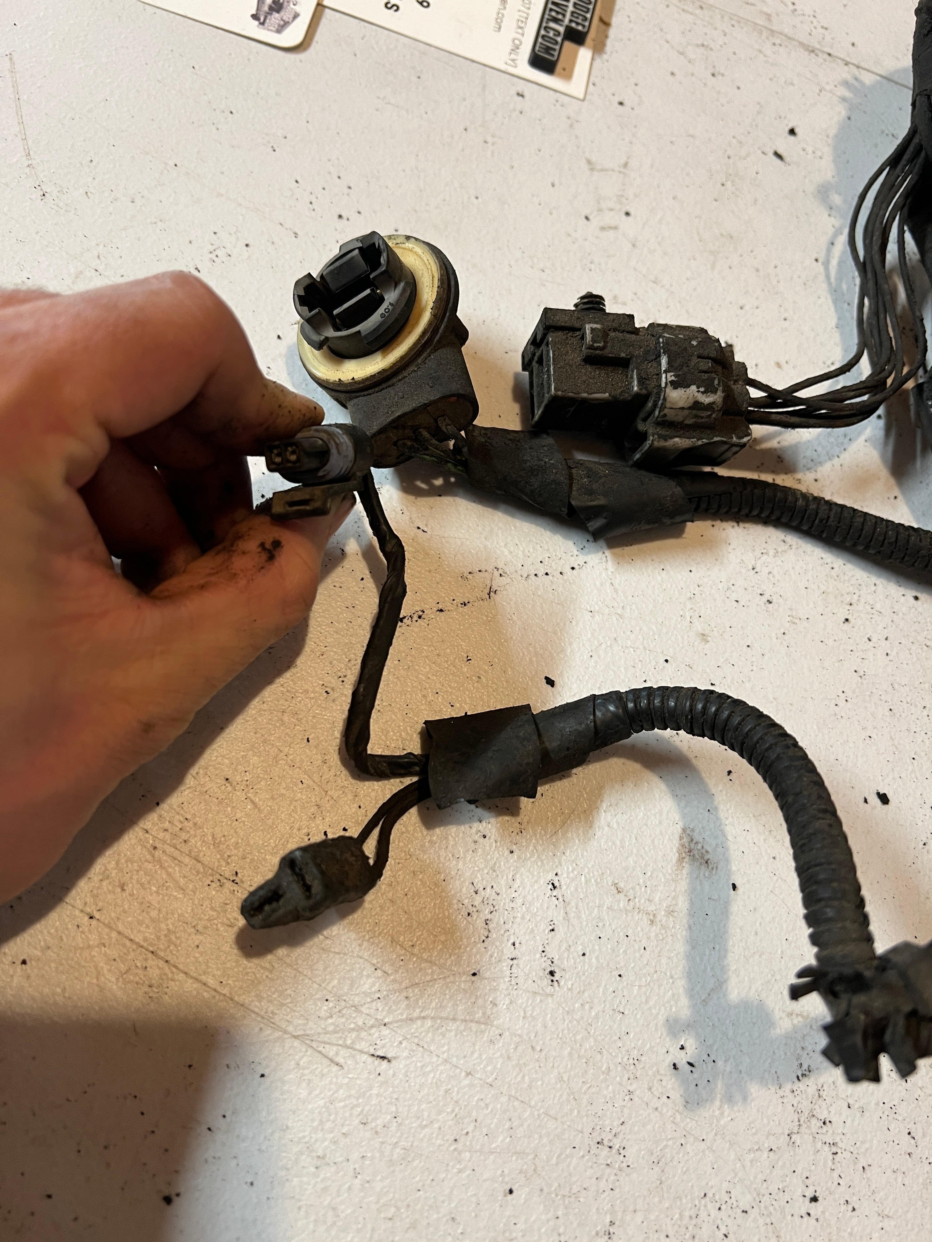 1998-1998 Dodge Ram 5.2L 5.9L Magnum Gas Engine Bay Wiring Harness