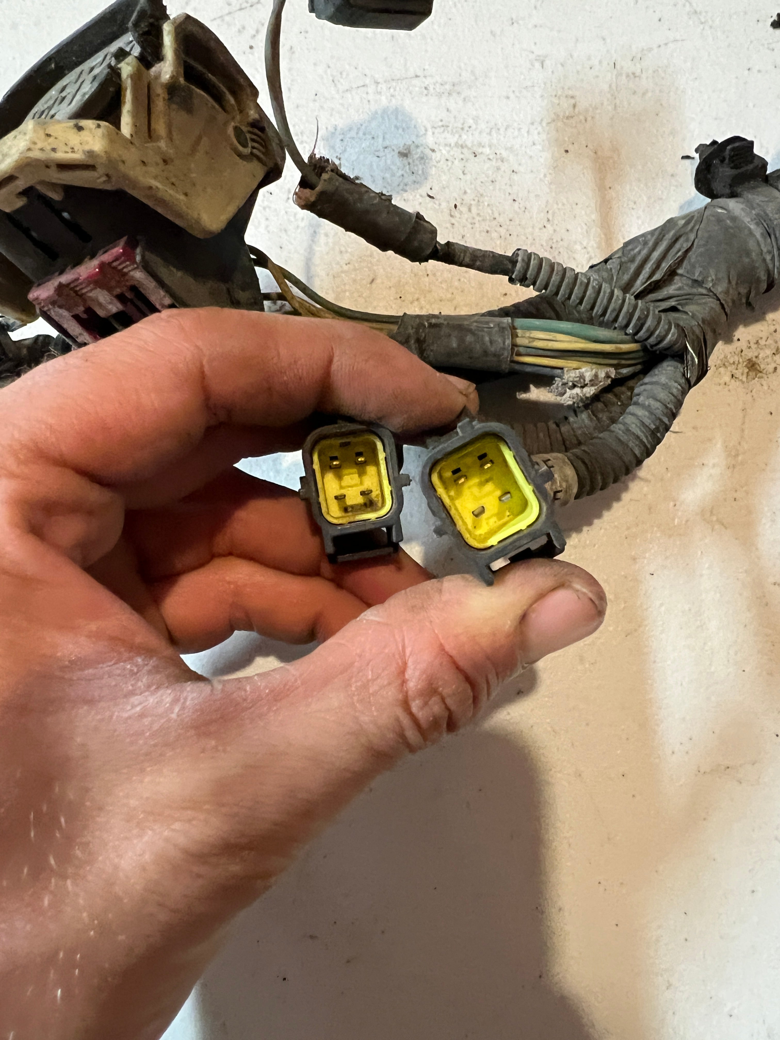 2006-2006 Dodge Ram 1500 5.7L Hemi Engine / Auto Transmission Wiring Harness