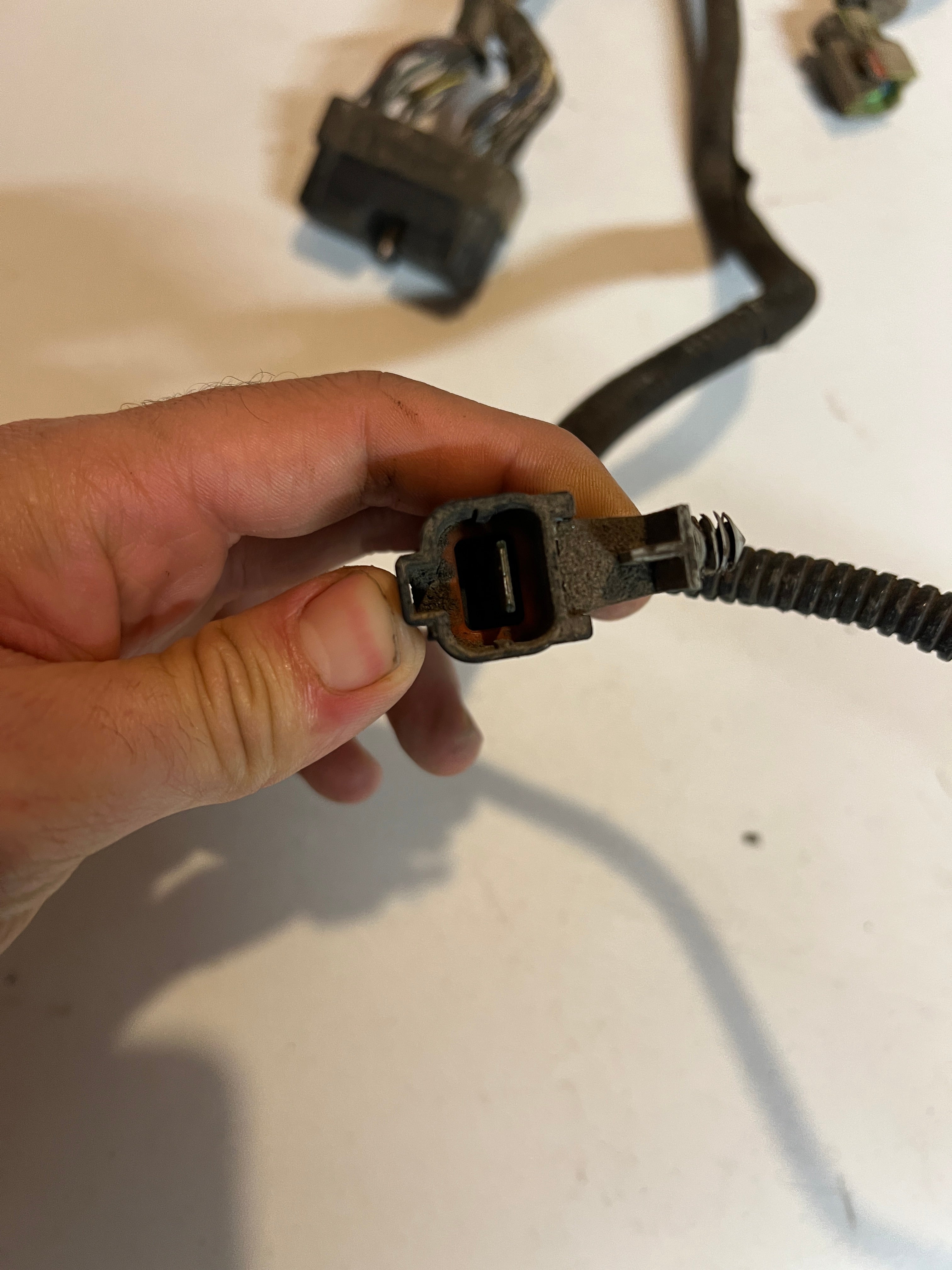 2004.5-2004.5 Dodge Ram 5.9L Cummins Manual Rear Engine ECM Wiring Harness