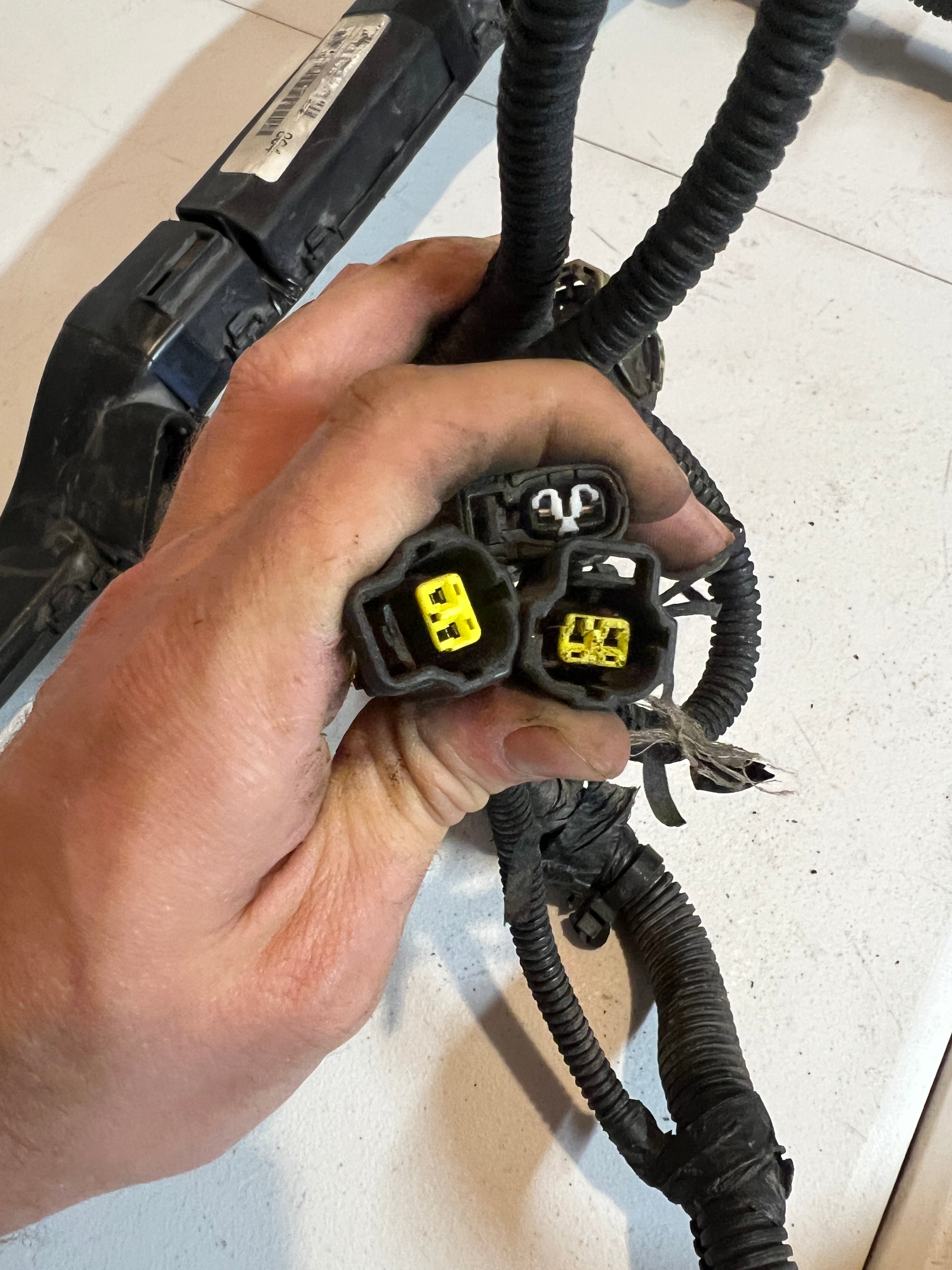 2002-2002 Dodge Ram 1500 4.7L Engine / Transmission Wiring Harness