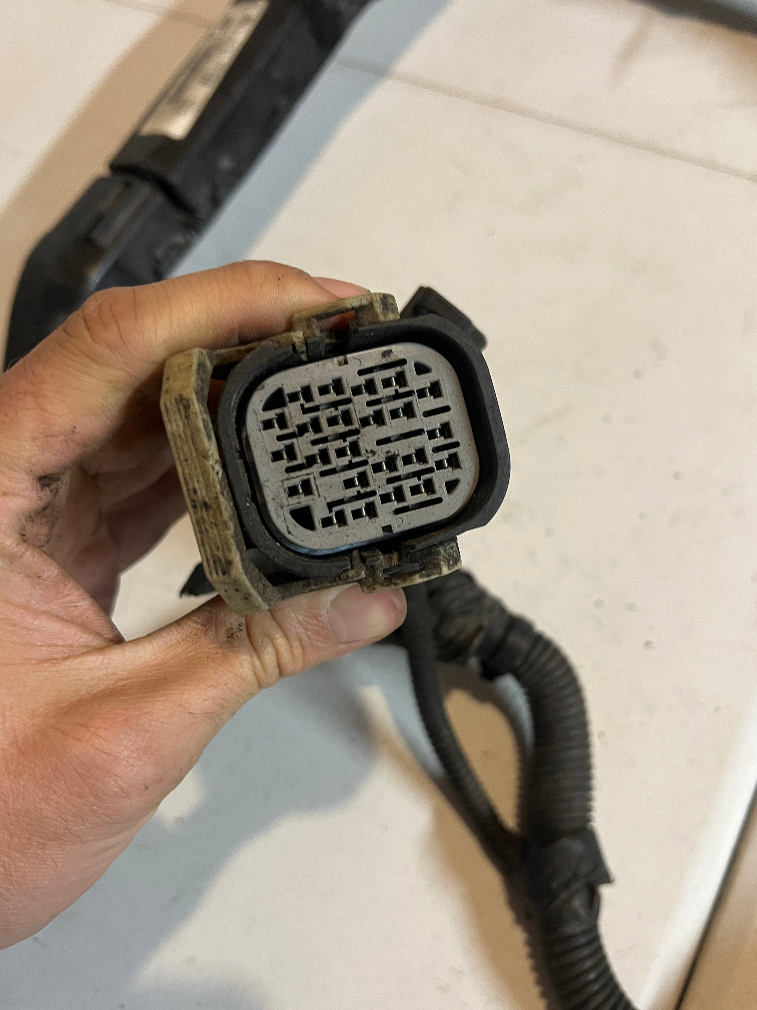 2002-2002 Dodge Ram 1500 4.7L Engine / Transmission Wiring Harness