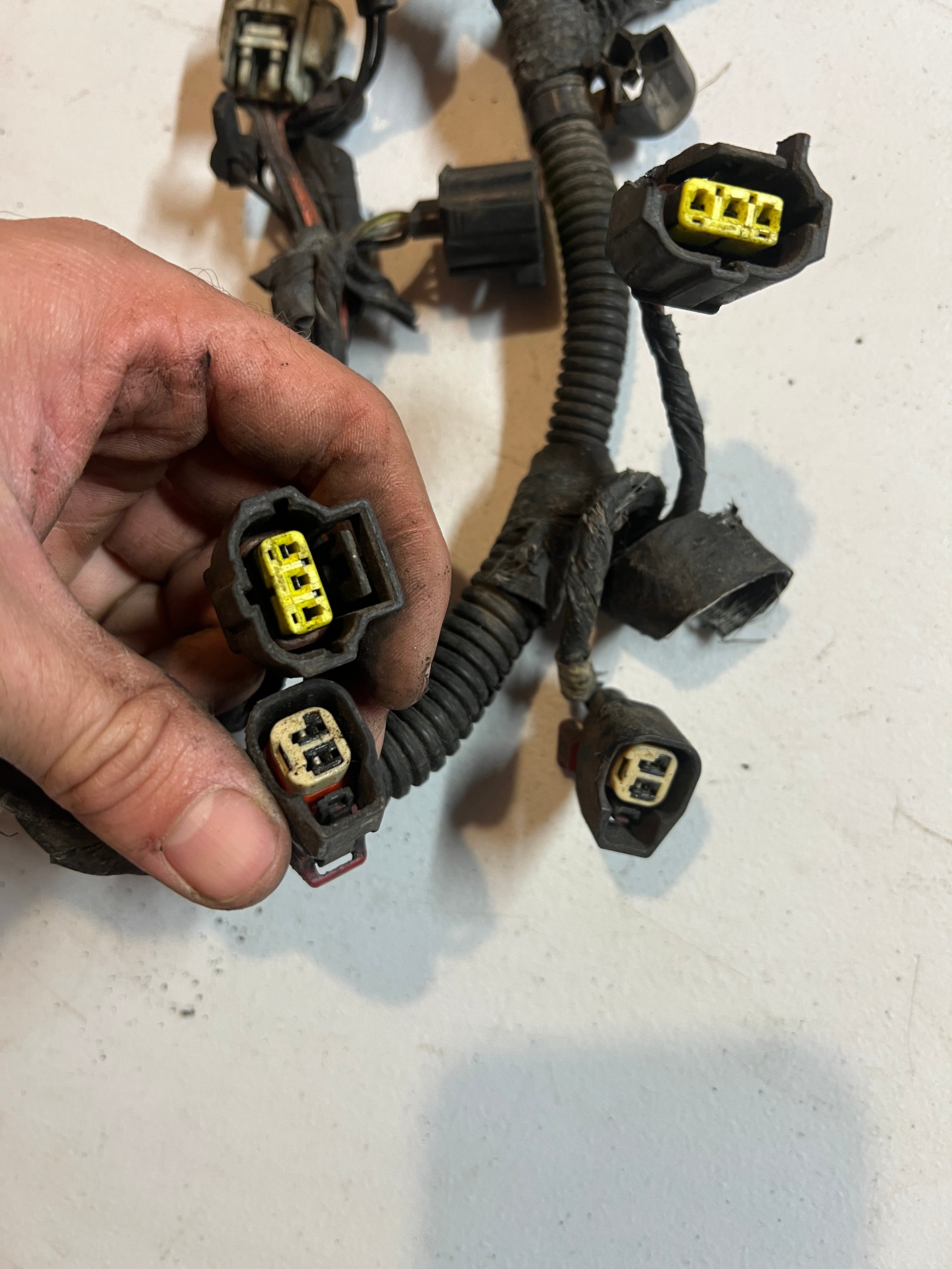 2002-2002 Dodge Ram 1500 4.7L Engine / Transmission Wiring Harness