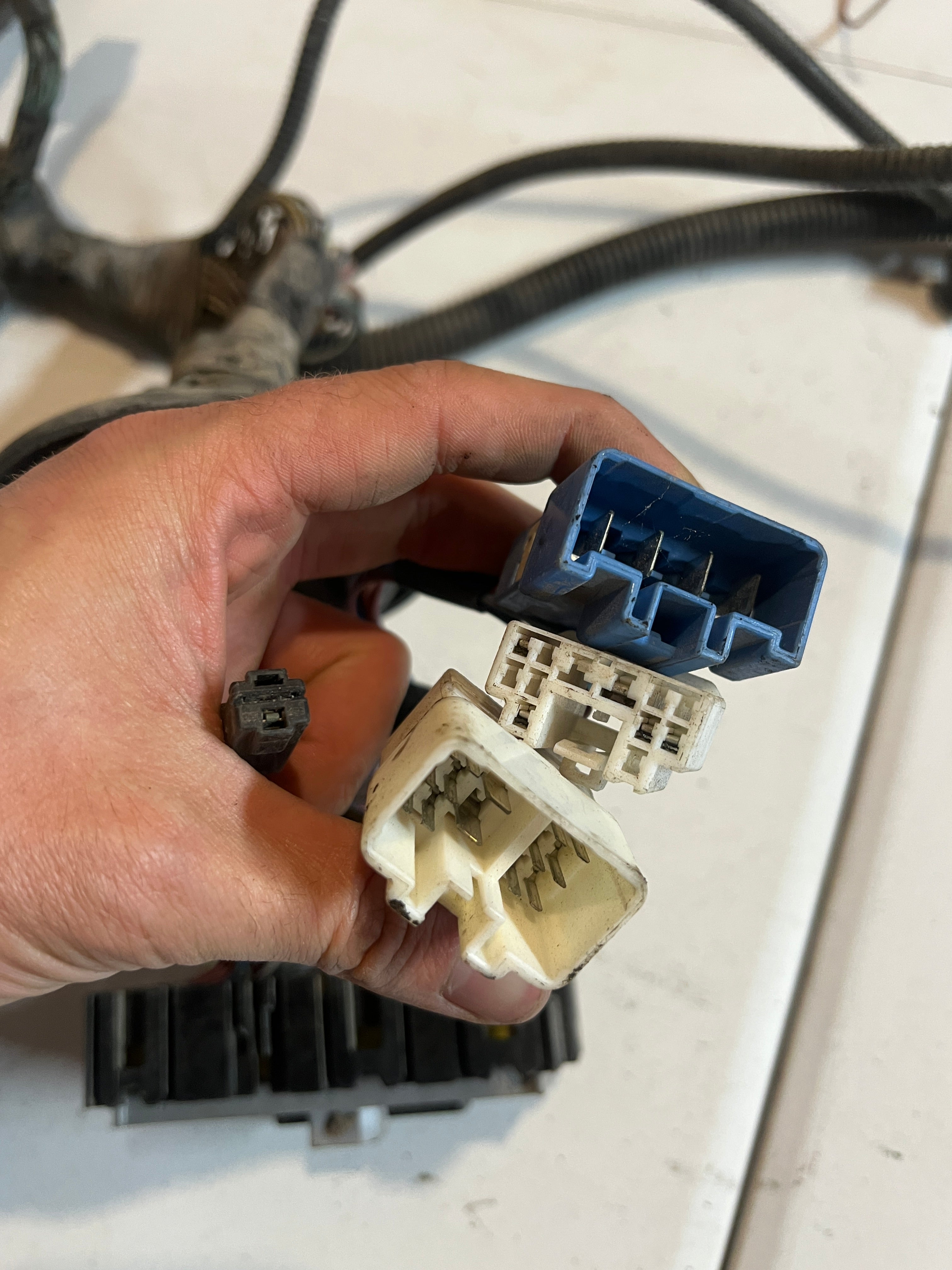 2004-2004 Dodge Ram 5.9l Cummins Headlamp to Dash Engine Bay Wiring Harness
