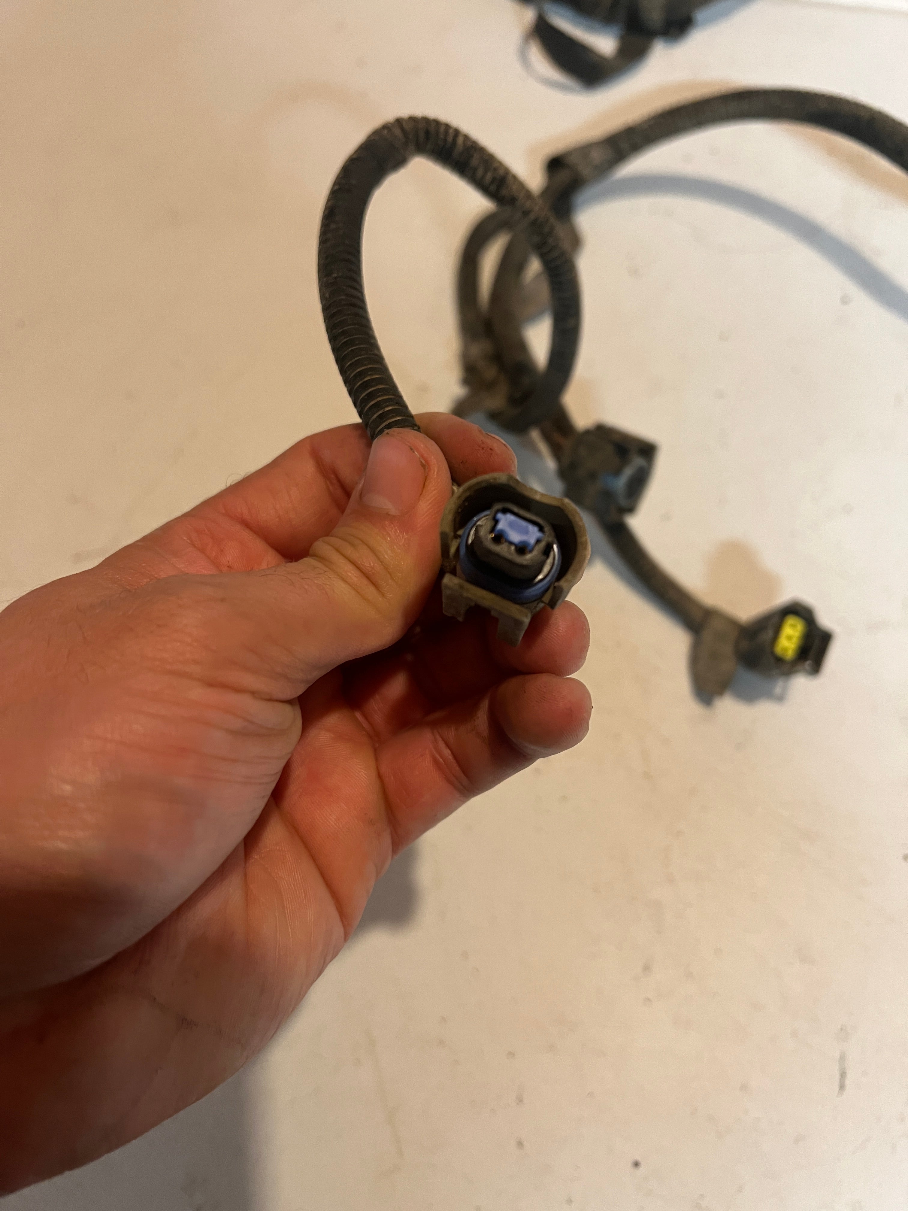 1999-1999 Dodge Ram 5.9L 24V 5.9L Cummins Auto Trans PCM Wiring Harness