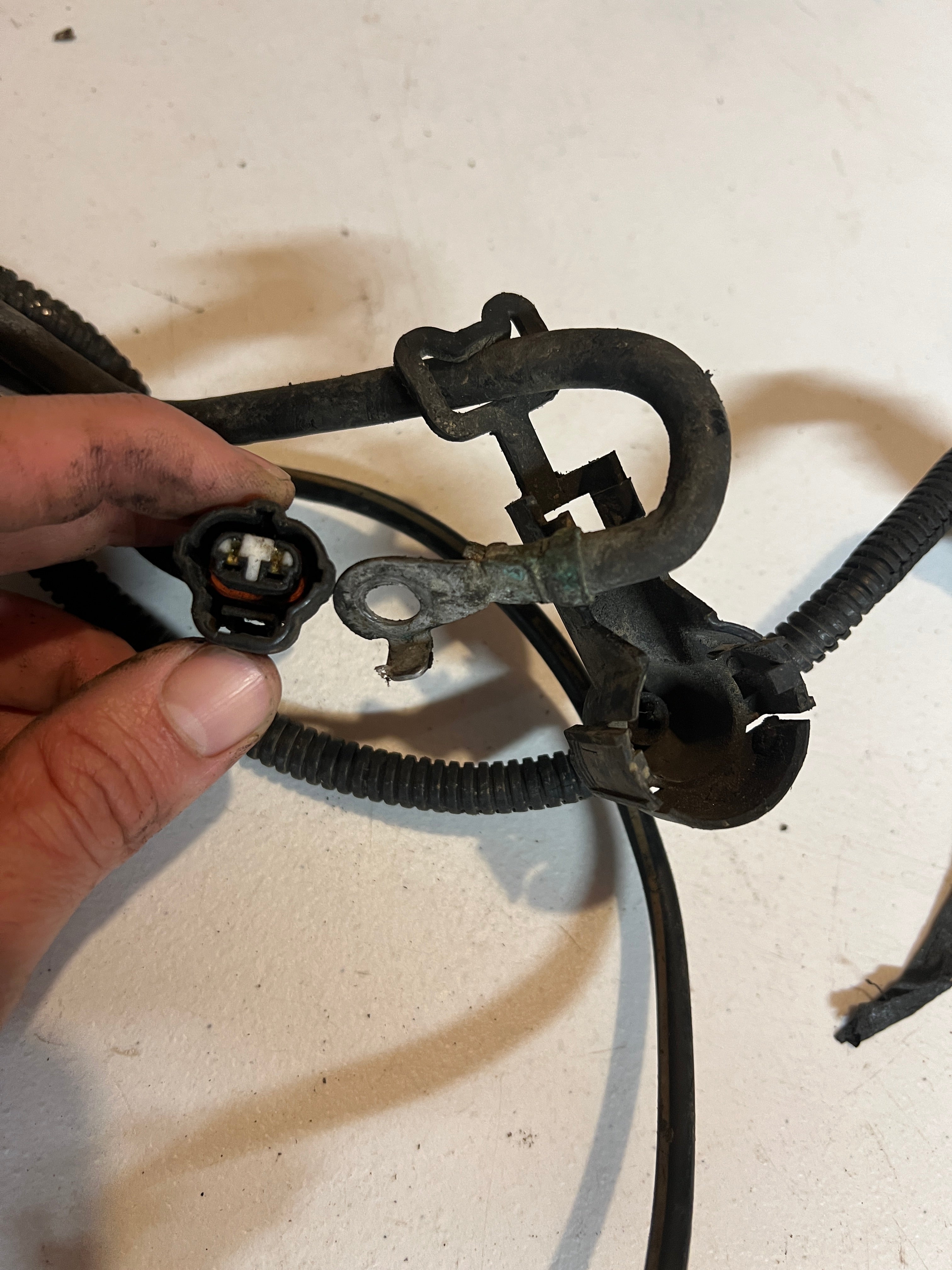 2002-2002 Dodge Ram 24 Valve 5.9L Cummins ECM Engine Wiring Harness