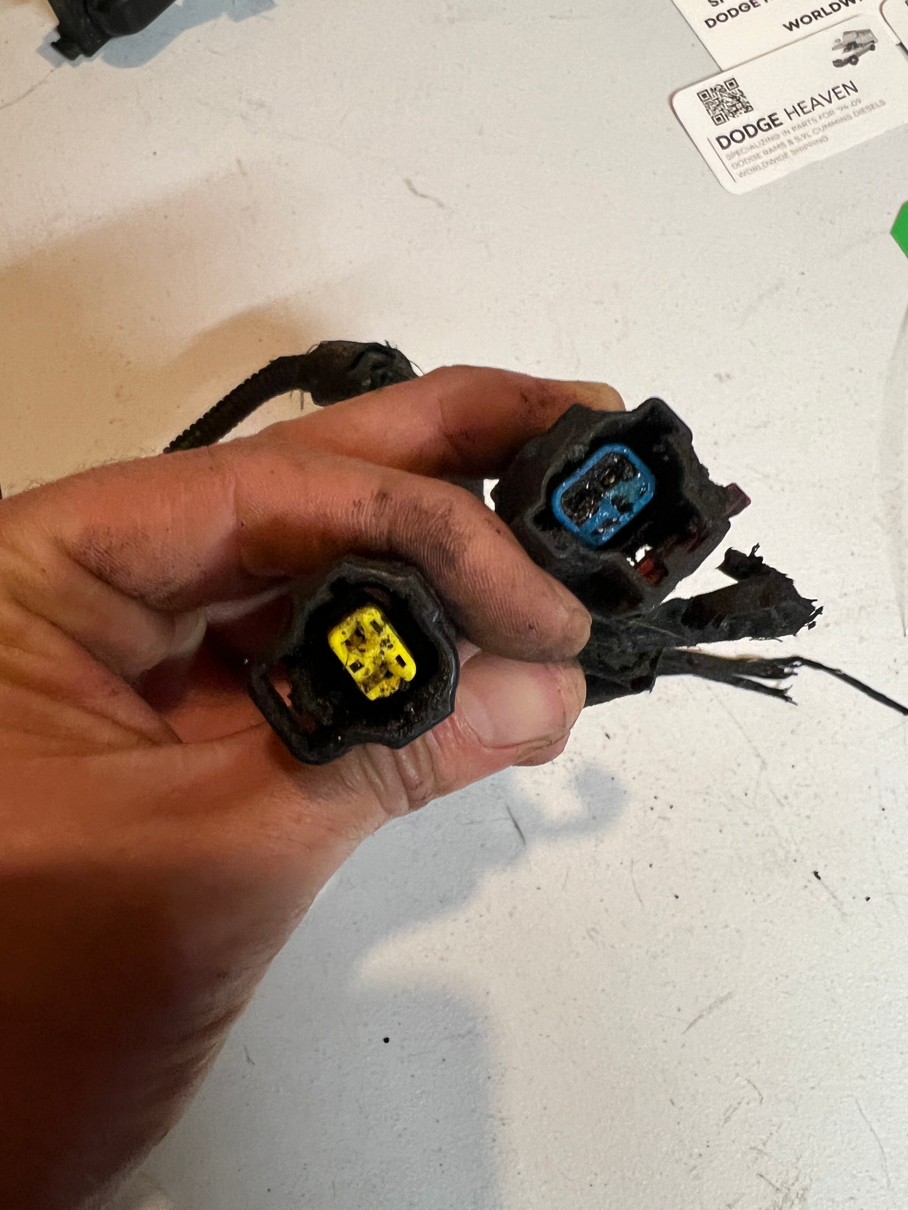 2002-2002 Dodge Ram 24 Valve 5.9L Cummins ECM Engine Wiring Harness