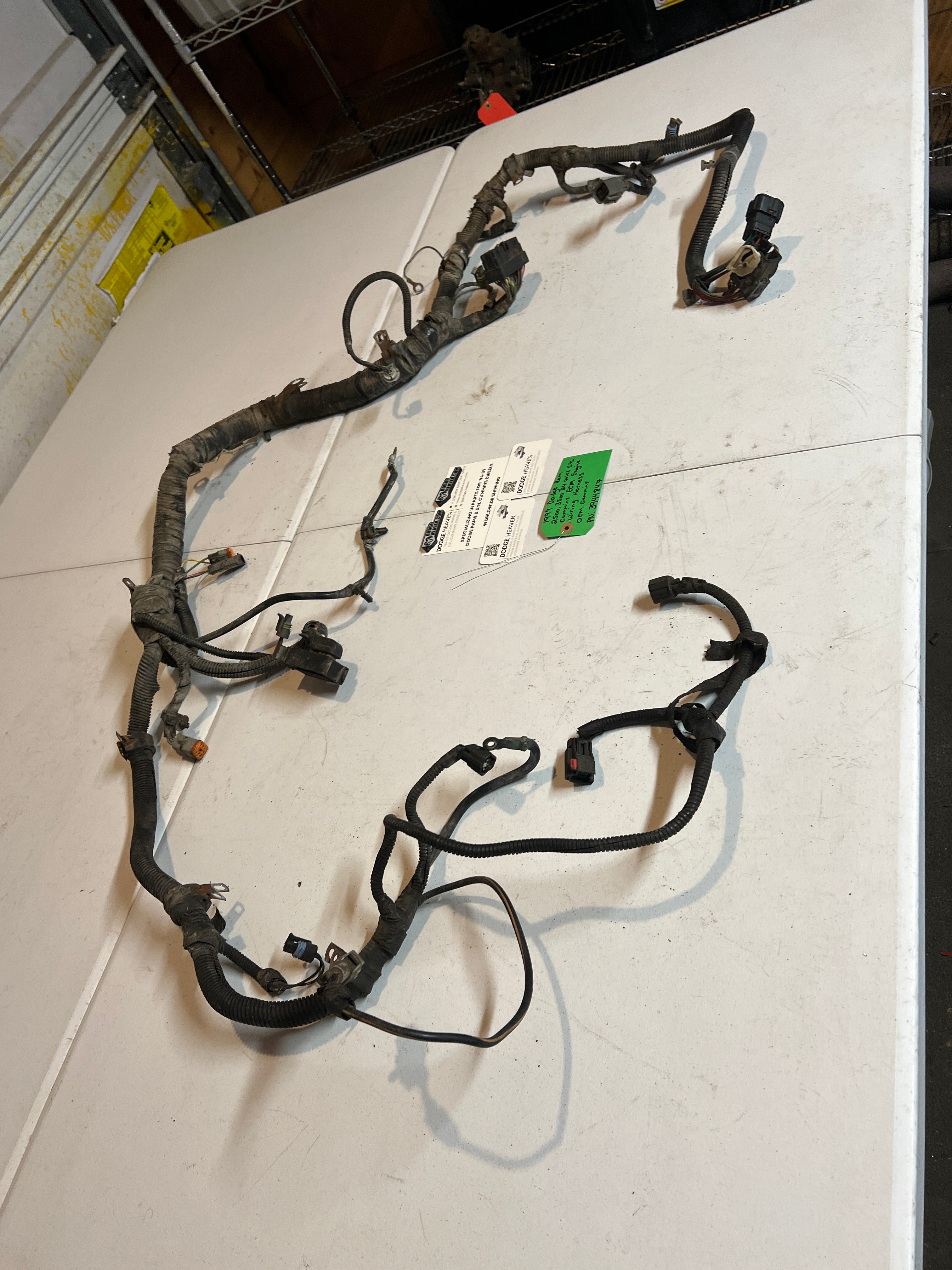 1999-1999 Dodge Ram 24 Valve 5.9L Cummins ECM Engine Wiring Harness