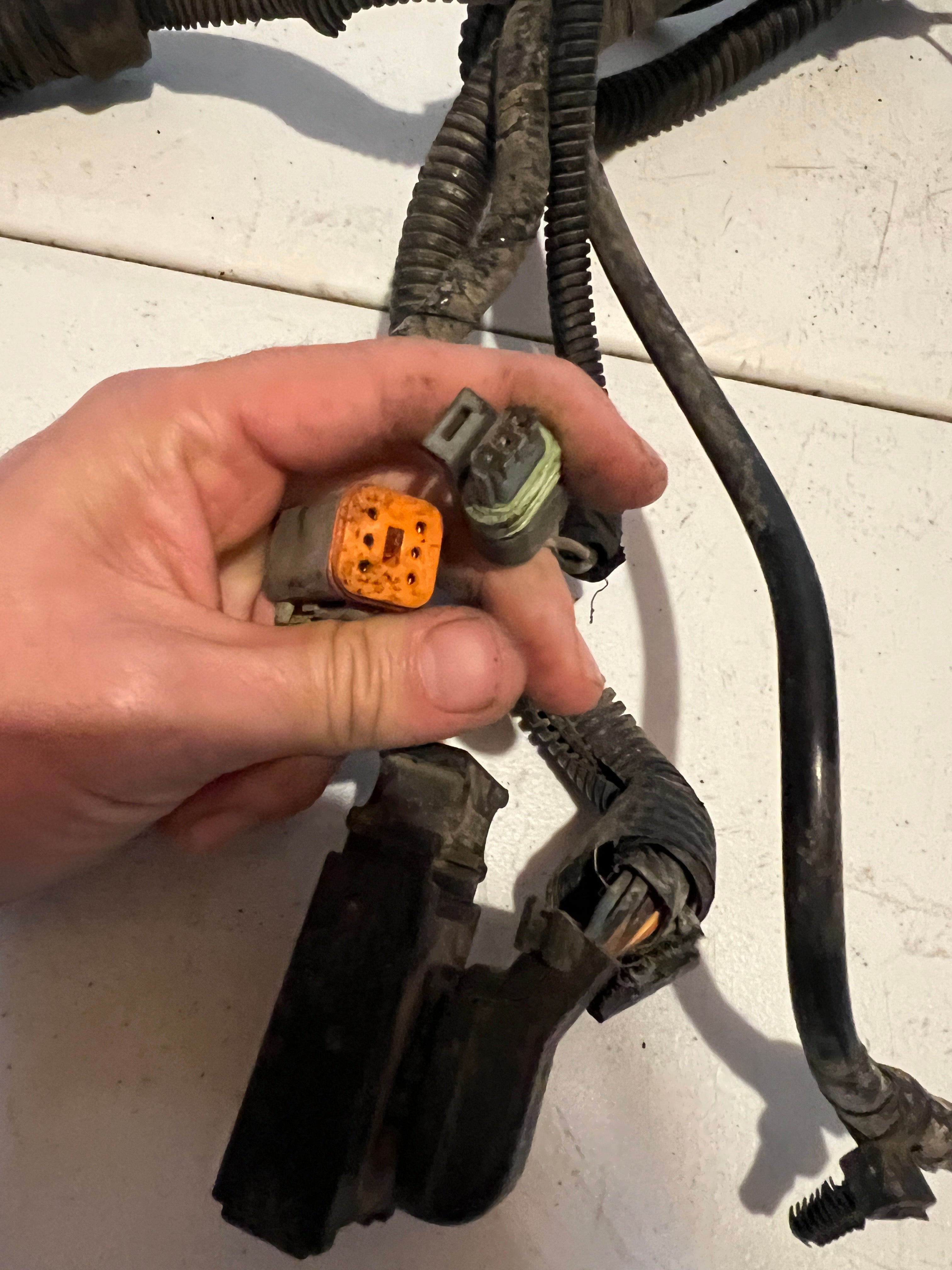 1999-1999 Dodge Ram 24 Valve 5.9L Cummins ECM Engine Wiring Harness