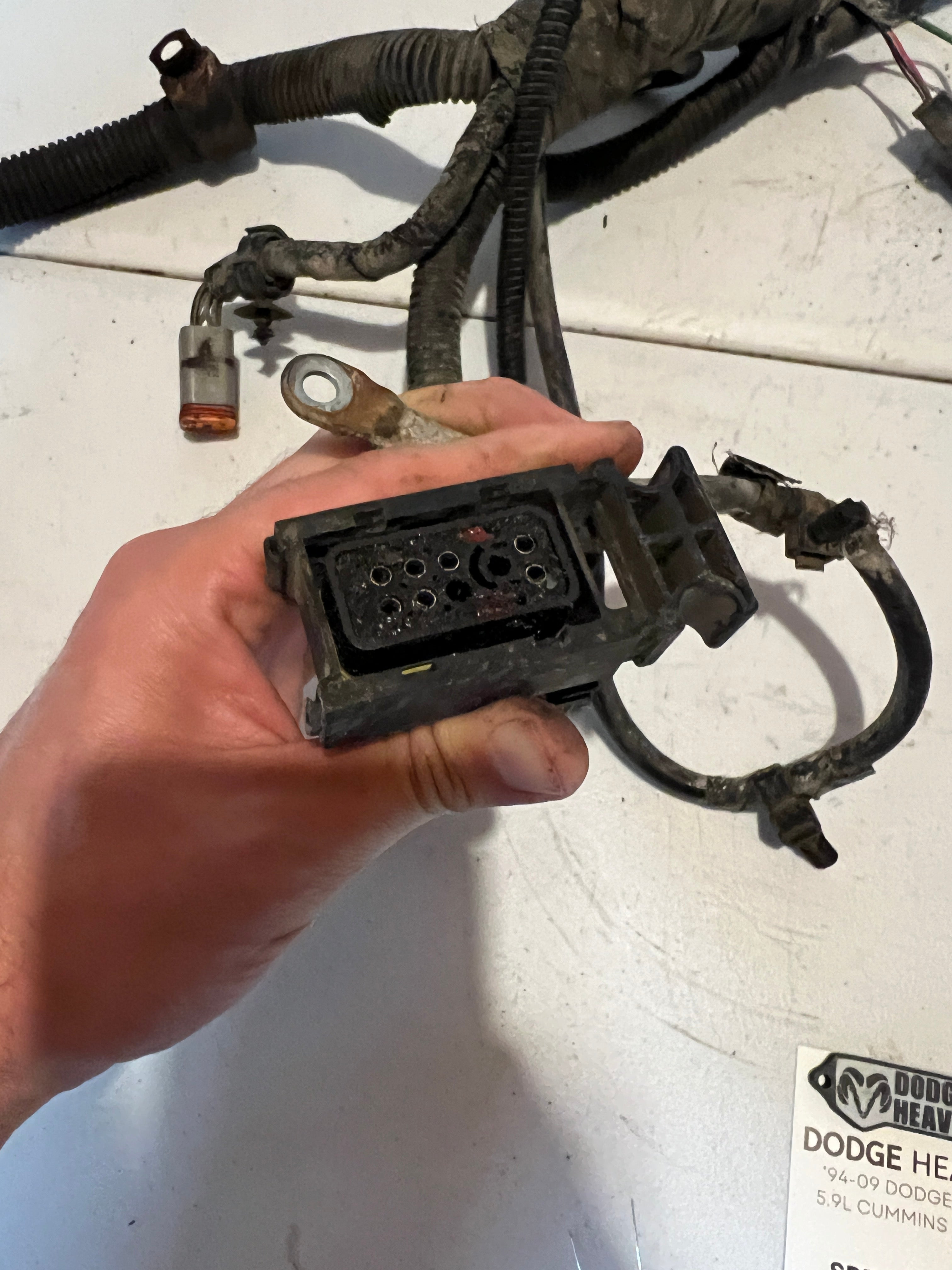 1999-1999 Dodge Ram 24 Valve 5.9L Cummins ECM Engine Wiring Harness