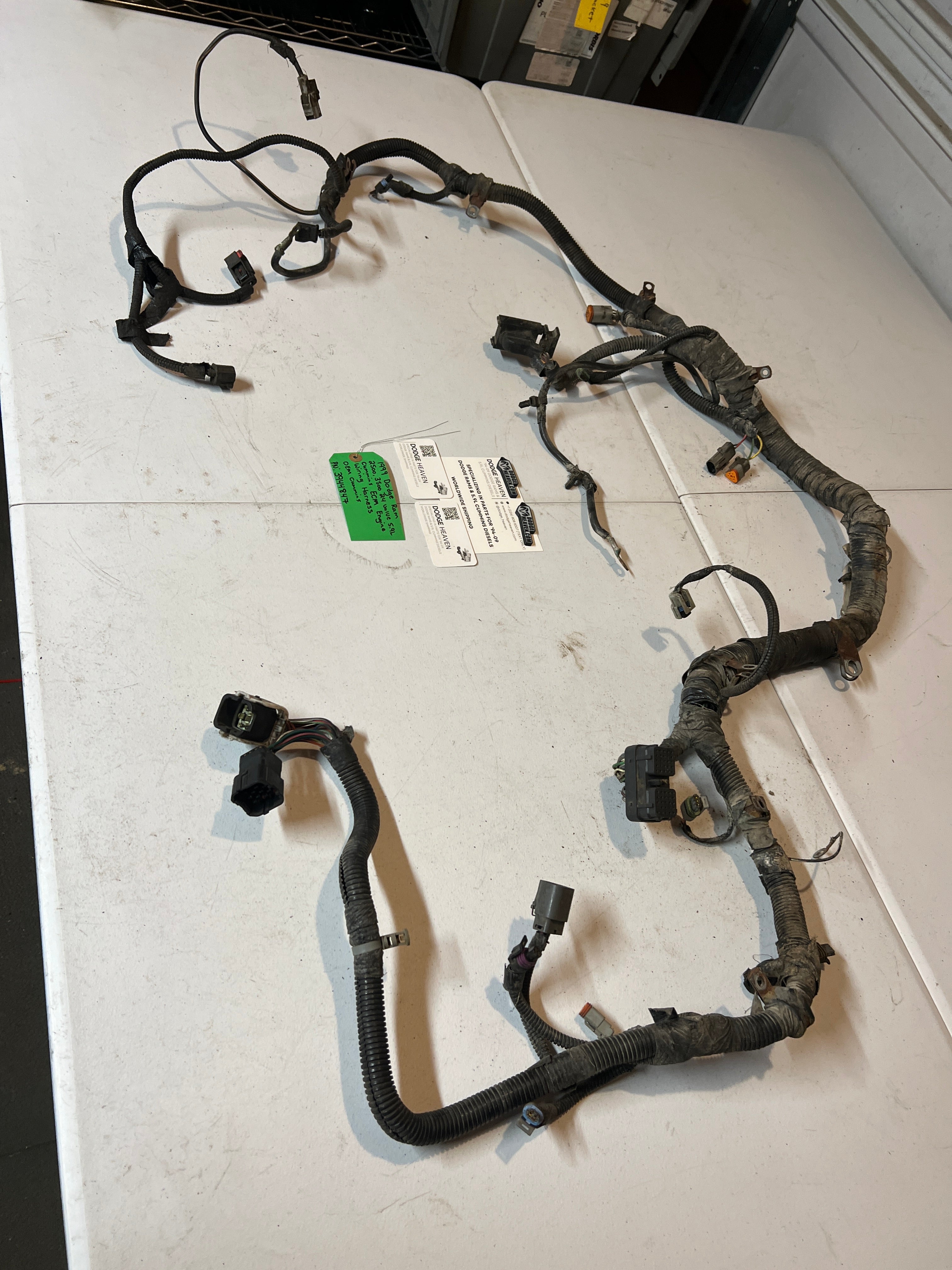 1999-1999 Dodge Ram 24 Valve 5.9L Cummins ECM Engine Wiring Harness