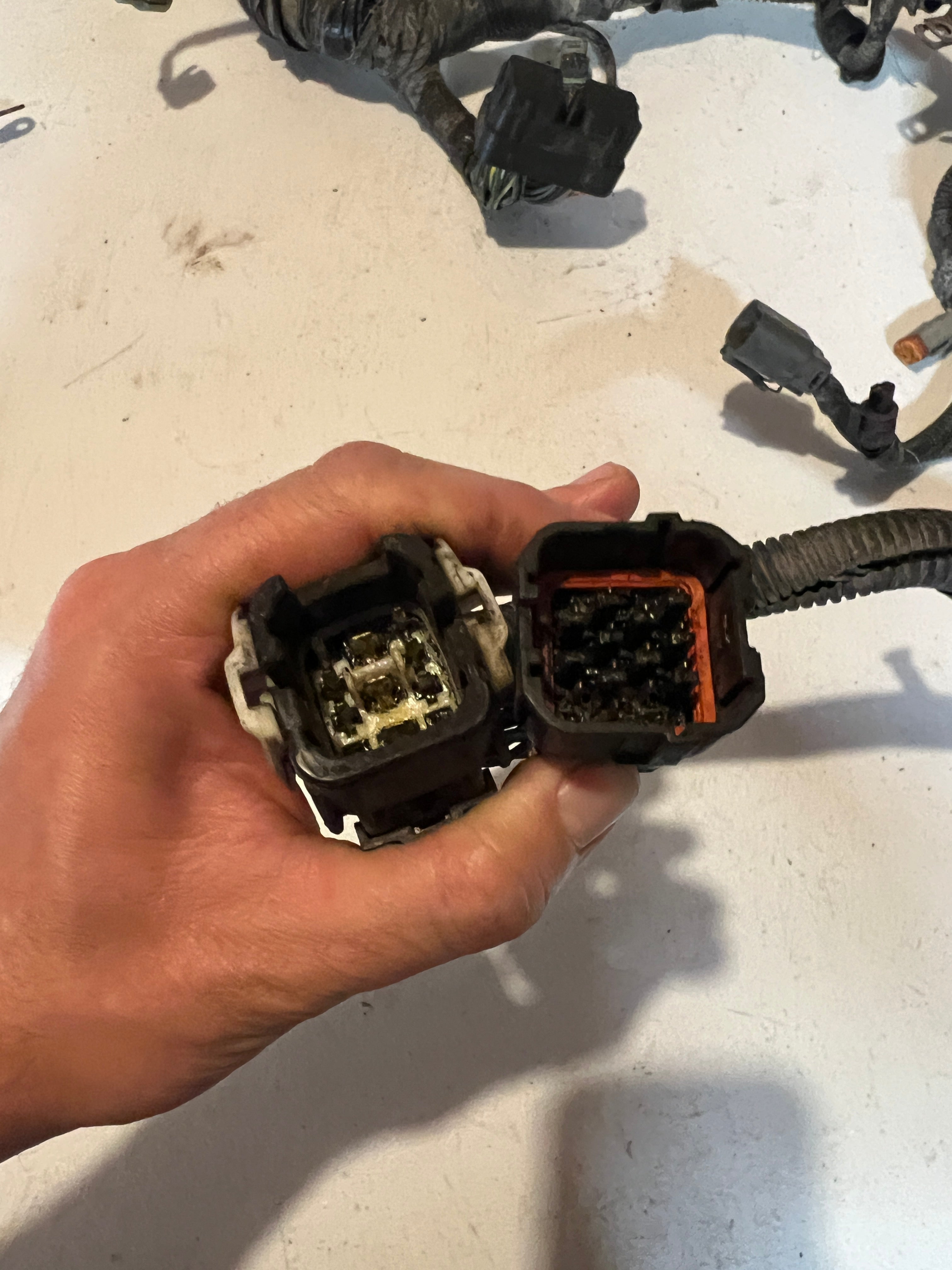 1999-1999 Dodge Ram 24 Valve 5.9L Cummins ECM Engine Wiring Harness