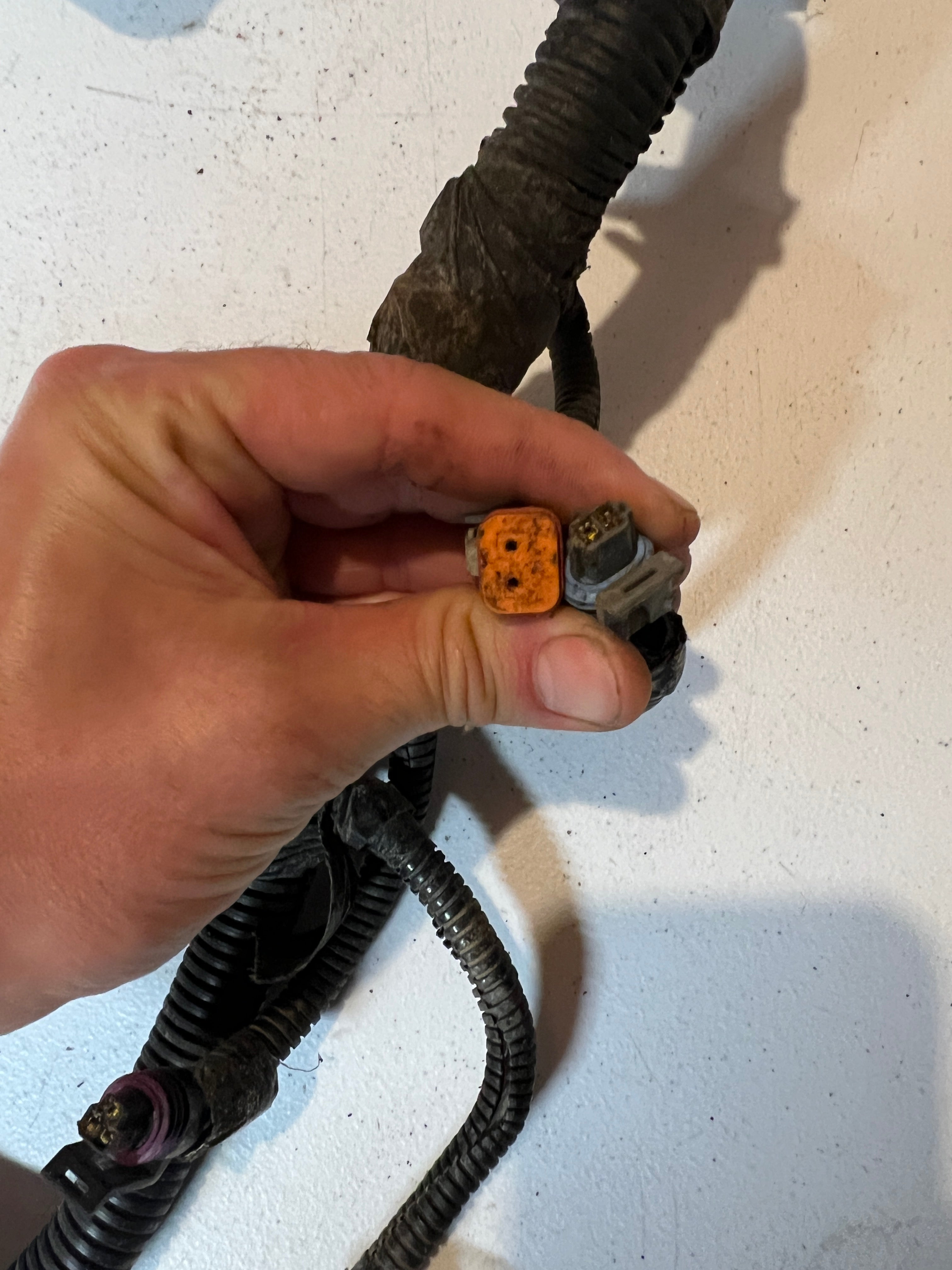 1999-1999 Dodge Ram 24 Valve 5.9L Cummins ECM Engine Wiring Harness