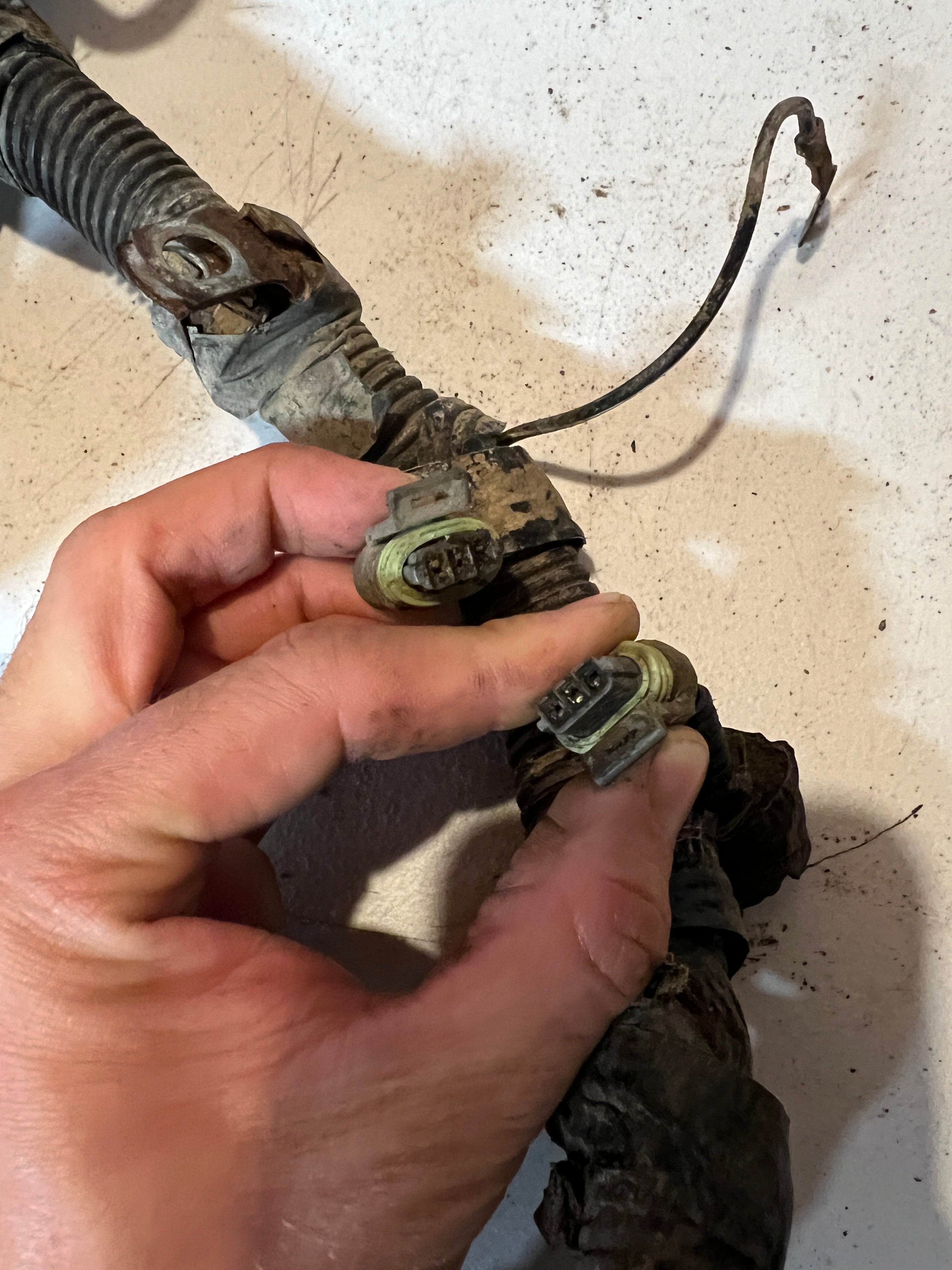 1999-1999 Dodge Ram 24 Valve 5.9L Cummins ECM Engine Wiring Harness