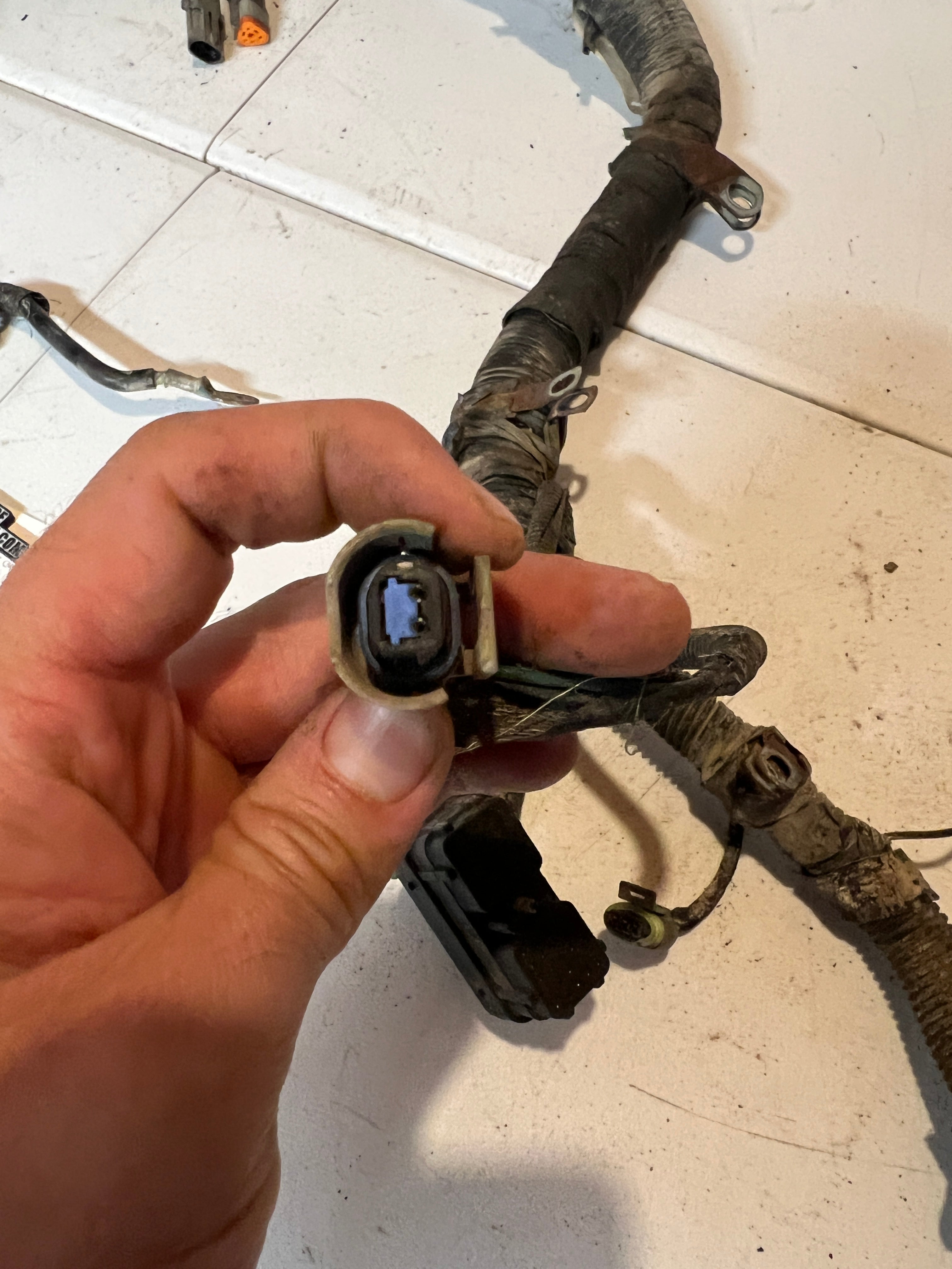 1999-1999 Dodge Ram 24 Valve 5.9L Cummins ECM Engine Wiring Harness
