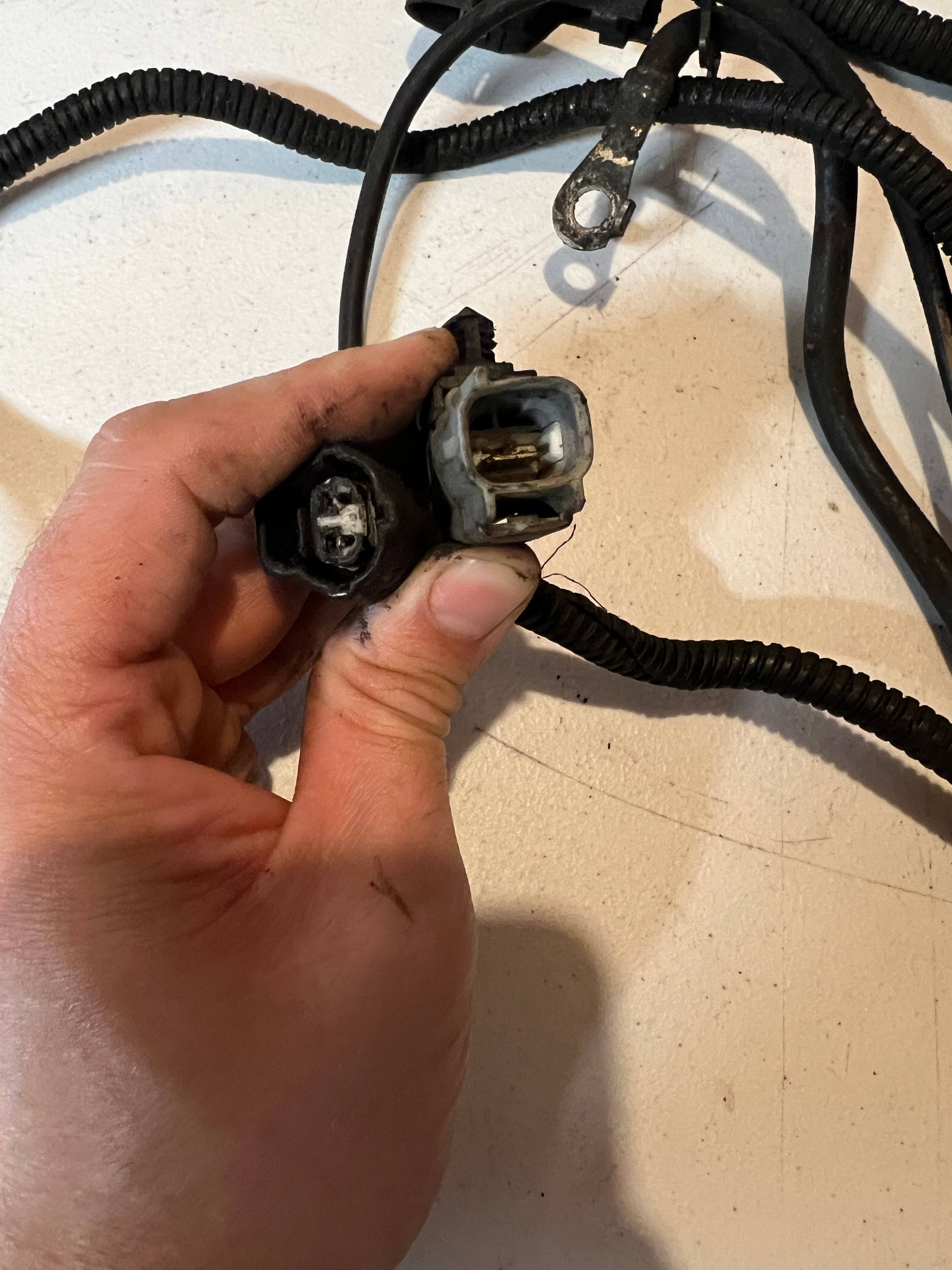 2001-2002 Dodge Ram 24 valve 5.9L Cummins ECM Engine Wiring Harness