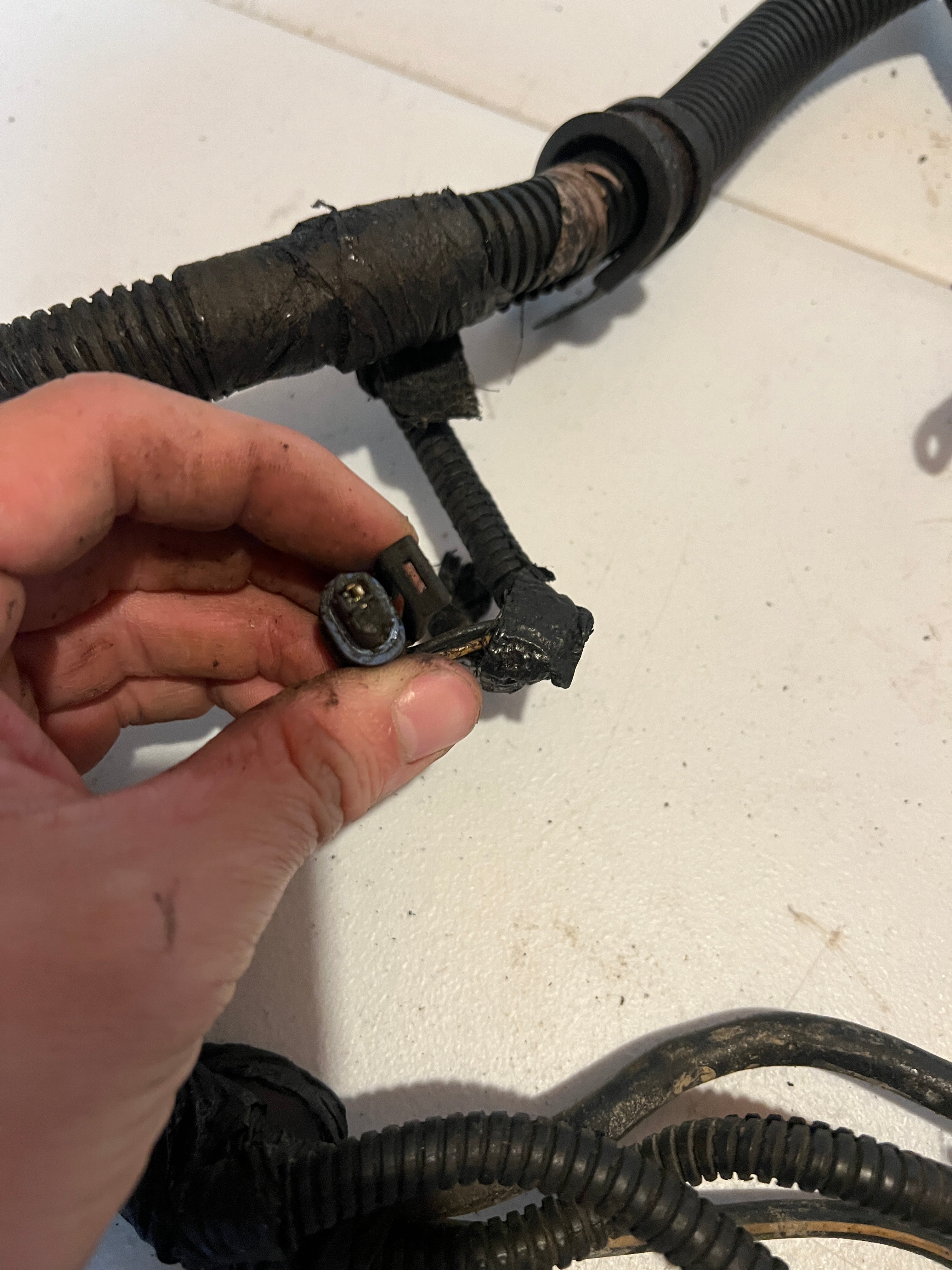 2001-2001 Dodge Ram 24 Valve 5.9L Cummins ECM Engine Wiring Harness