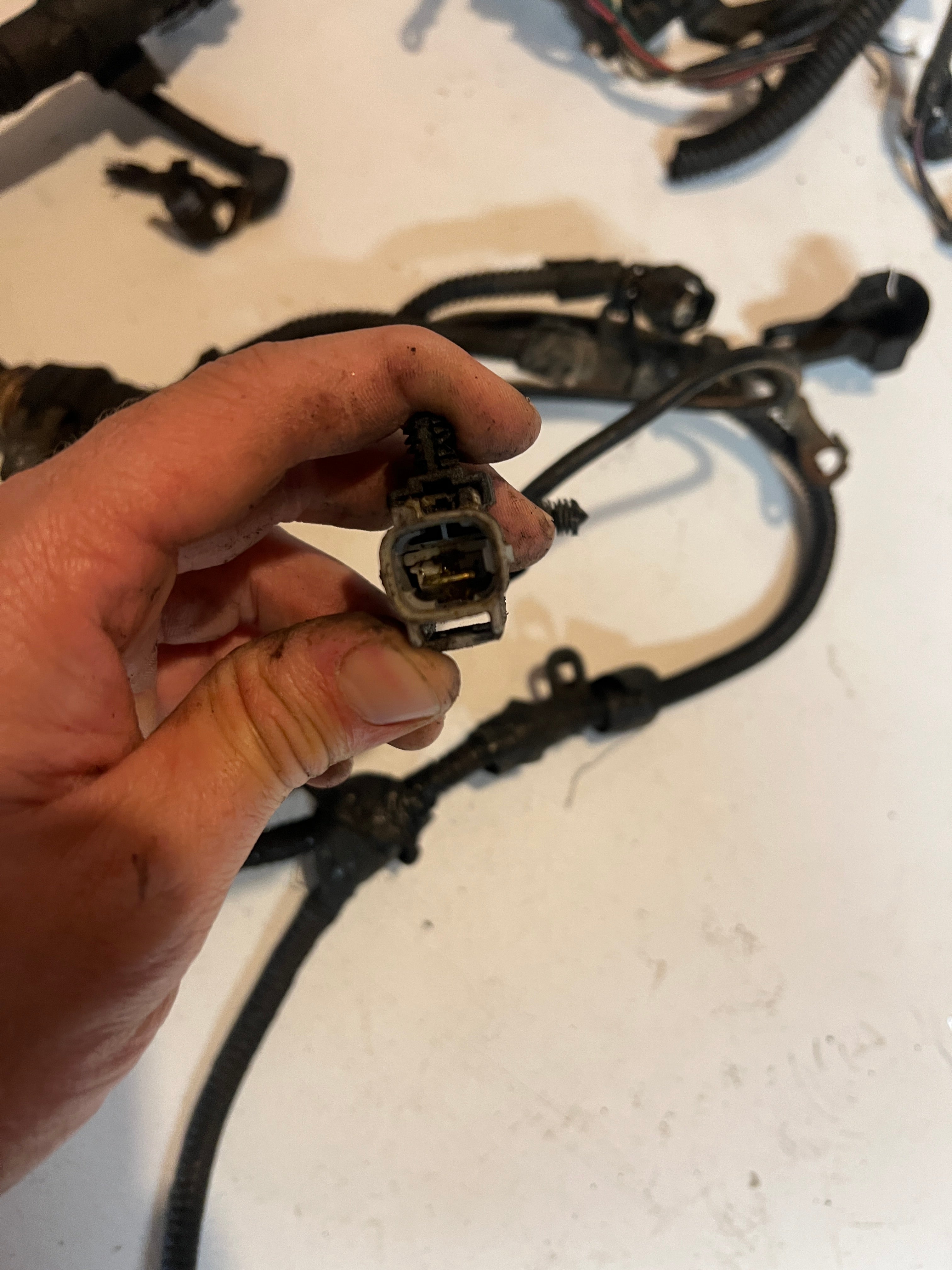 2001-2001 Dodge Ram 24 Valve 5.9L Cummins ECM Engine Wiring Harness