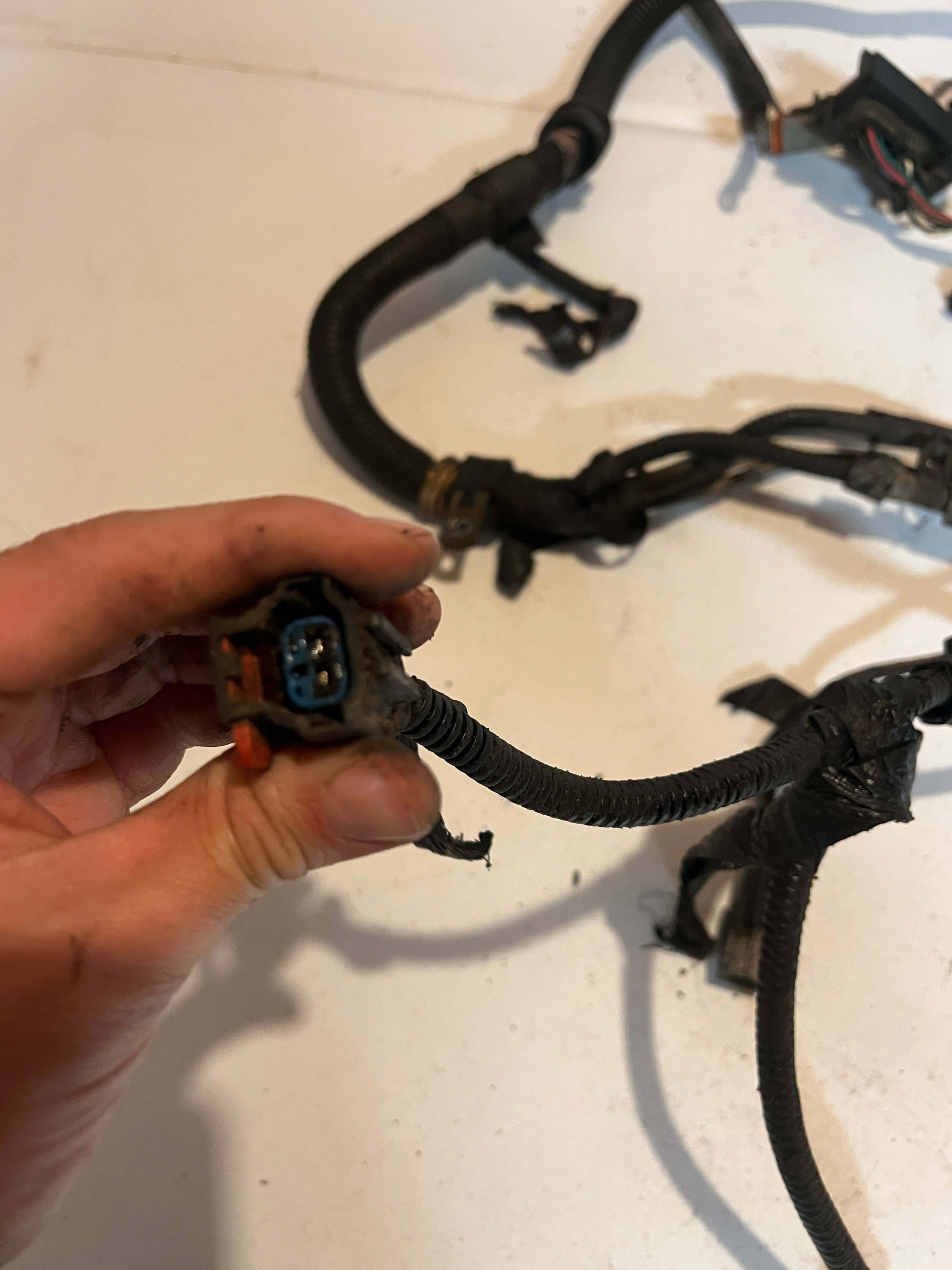 2001-2001 Dodge Ram 24 Valve 5.9L Cummins ECM Engine Wiring Harness